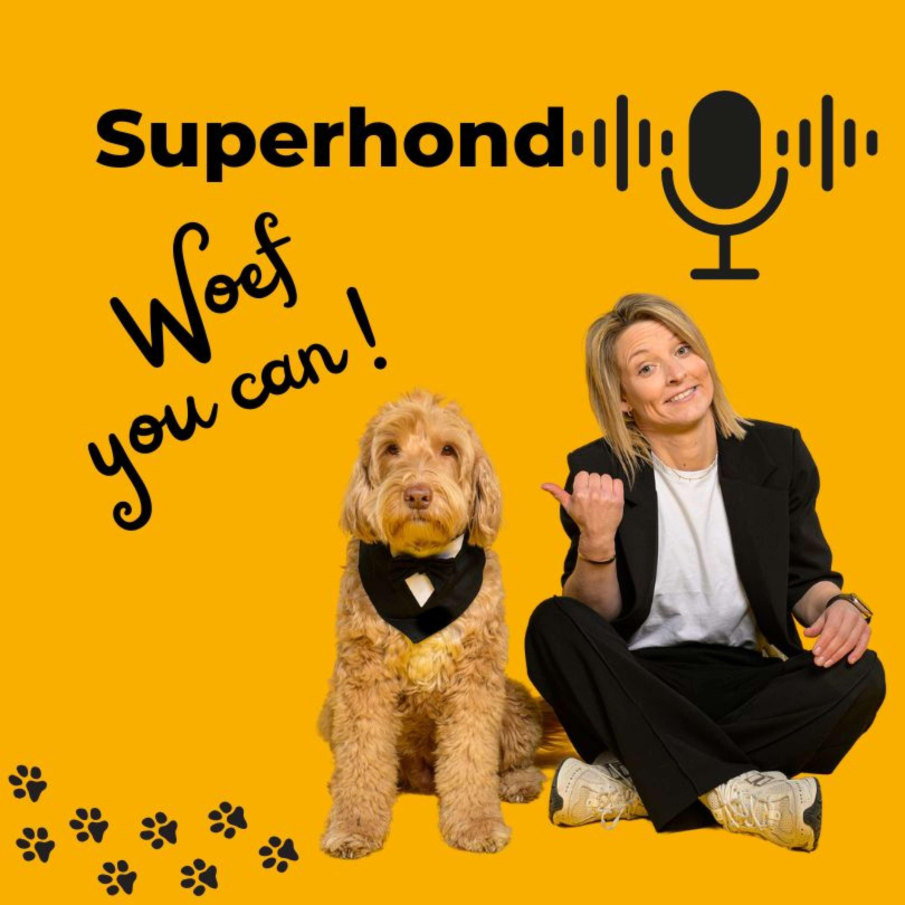 https://app.springcast.fm/storage/artwork/20339/22053/mjddHTD0kjFPurjIEM3U0B6XRBRFXtNtp91P9fBW.jpg