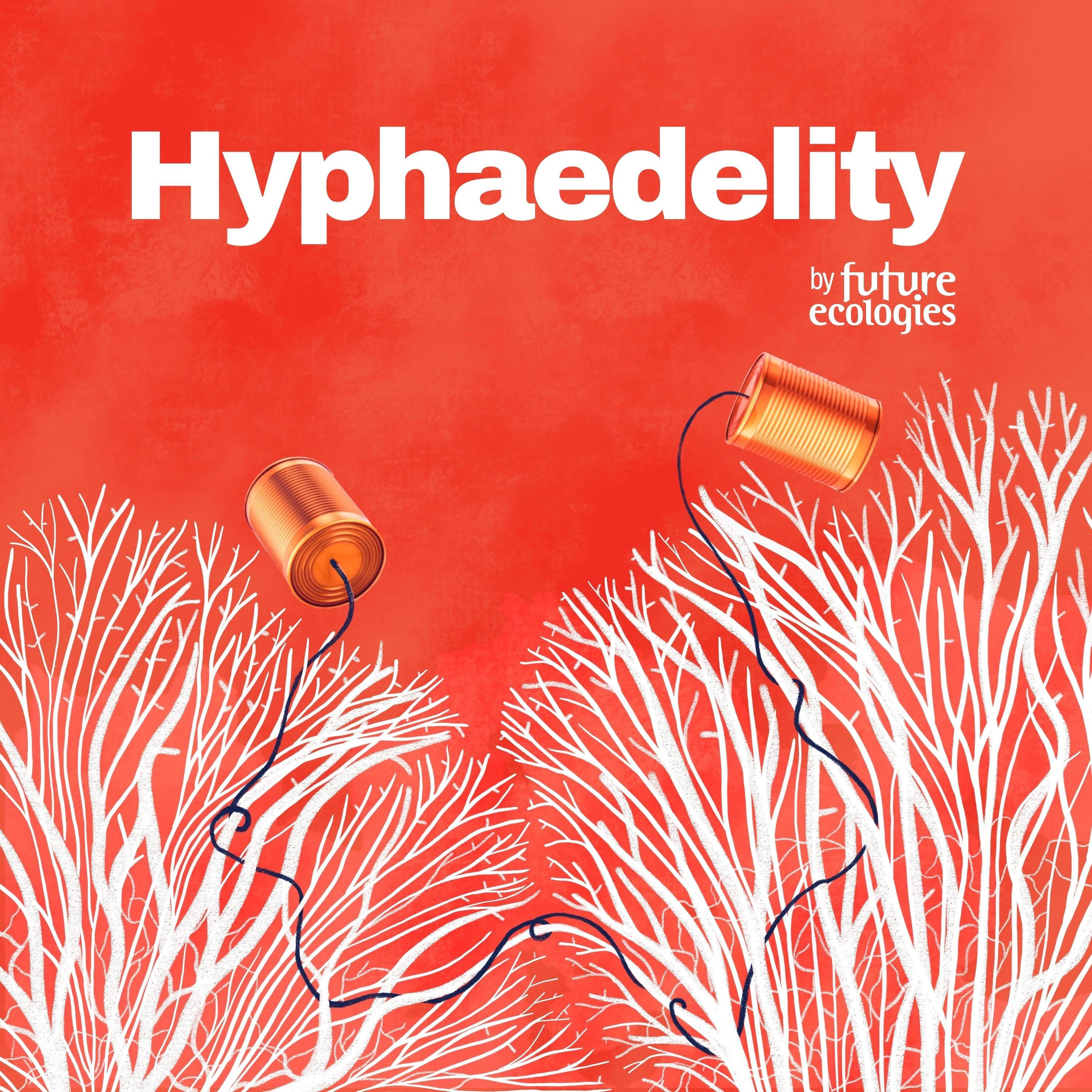 https://artwork.captivate.fm/0dfac6a2-a85f-4ee4-957f-a9837dbdb27c/SLEKqQpp8rkQMrzfffrC9q1I.jpg