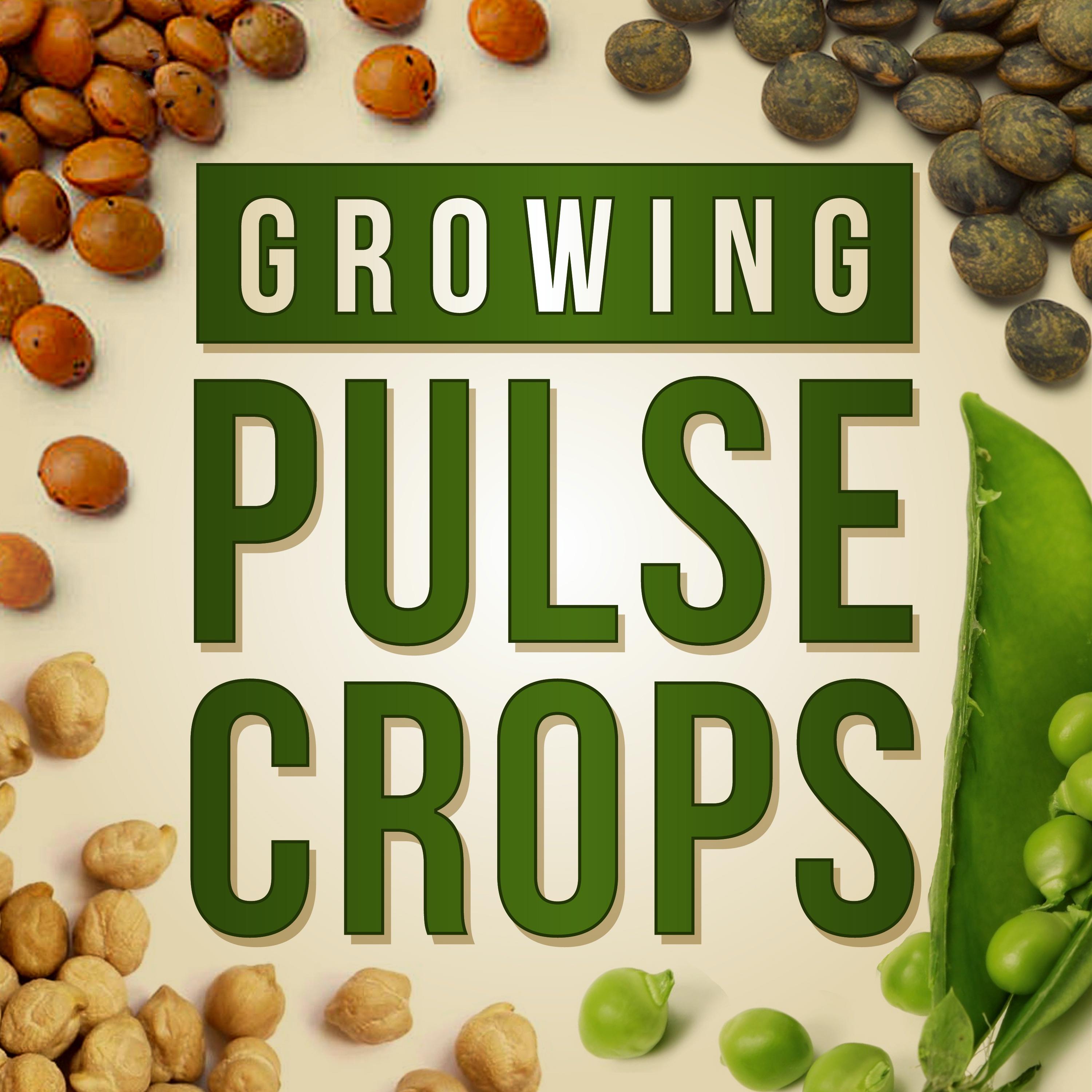 https://artwork.captivate.fm/96177daf-dcf8-4a4c-9bd8-48276ea2ae6d/GrowingPulseCrops.jpg