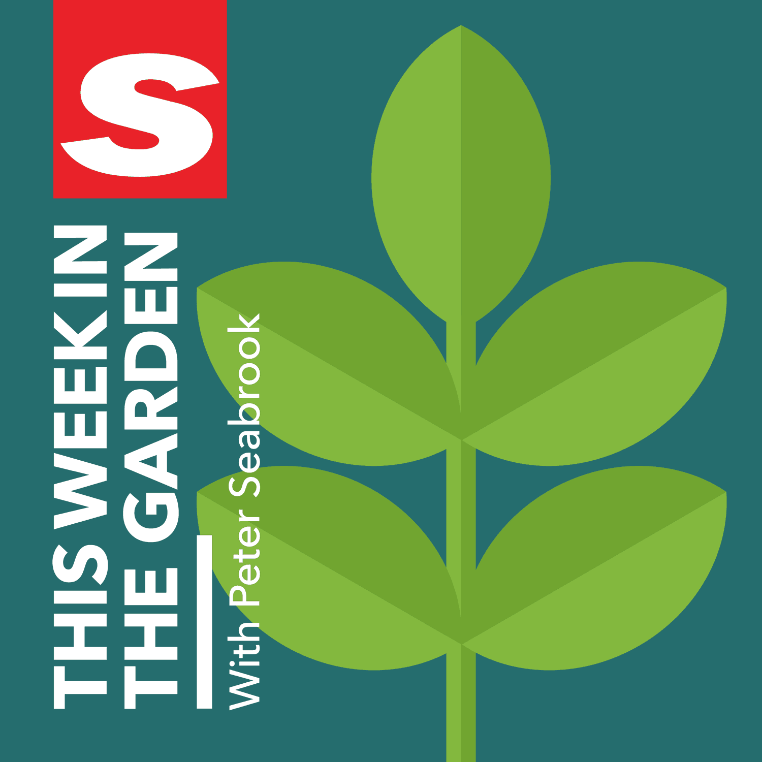 https://assets.pippa.io/shows/61ba0a9b1a8cbe119d3cf11e/show-cover.png