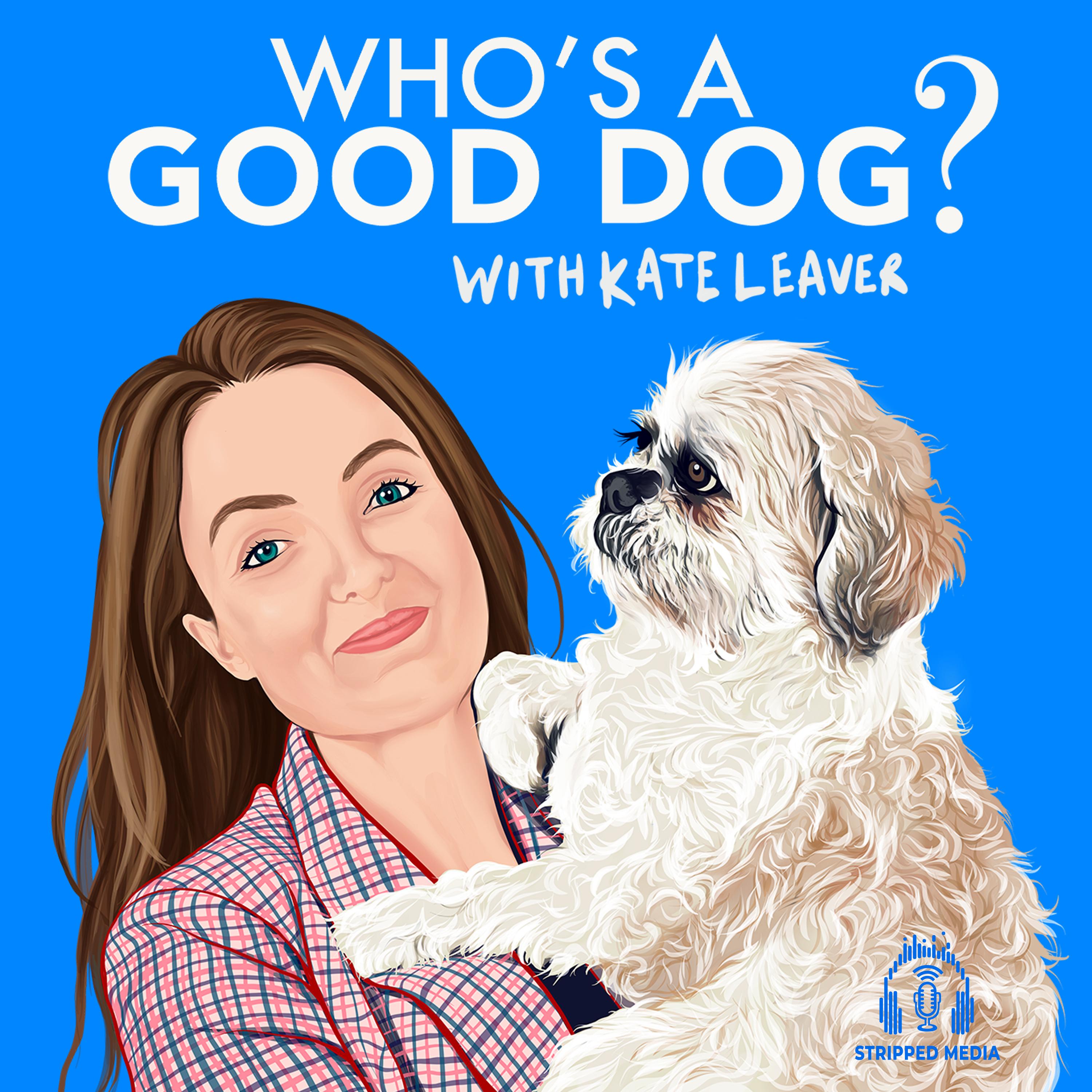 https://assets.pippa.io/shows/622606da118c54355694e012/show-cover.jpg