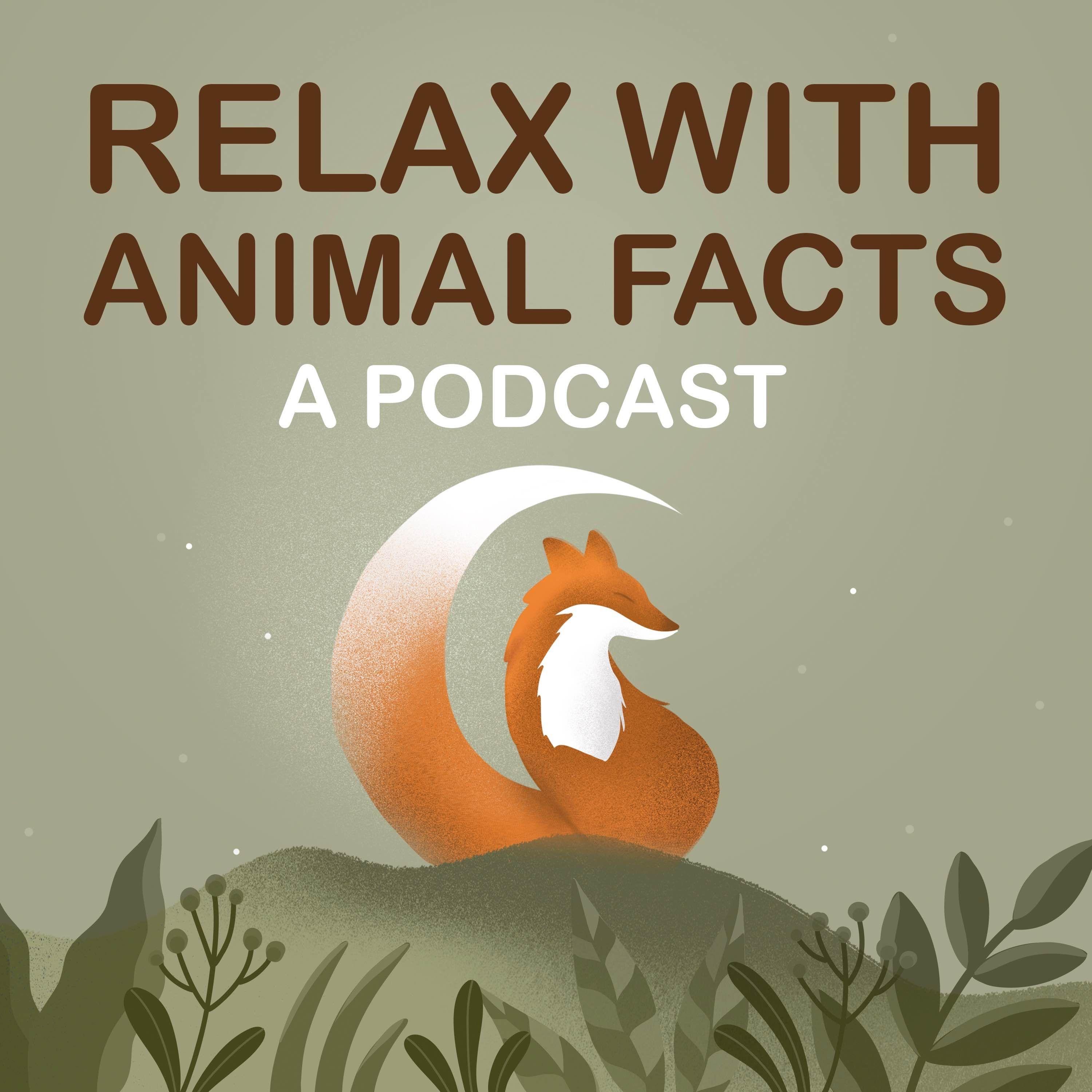 https://assets.pippa.io/shows/66f5eb0facfe1ec5ec53ec91/show-cover.jpg