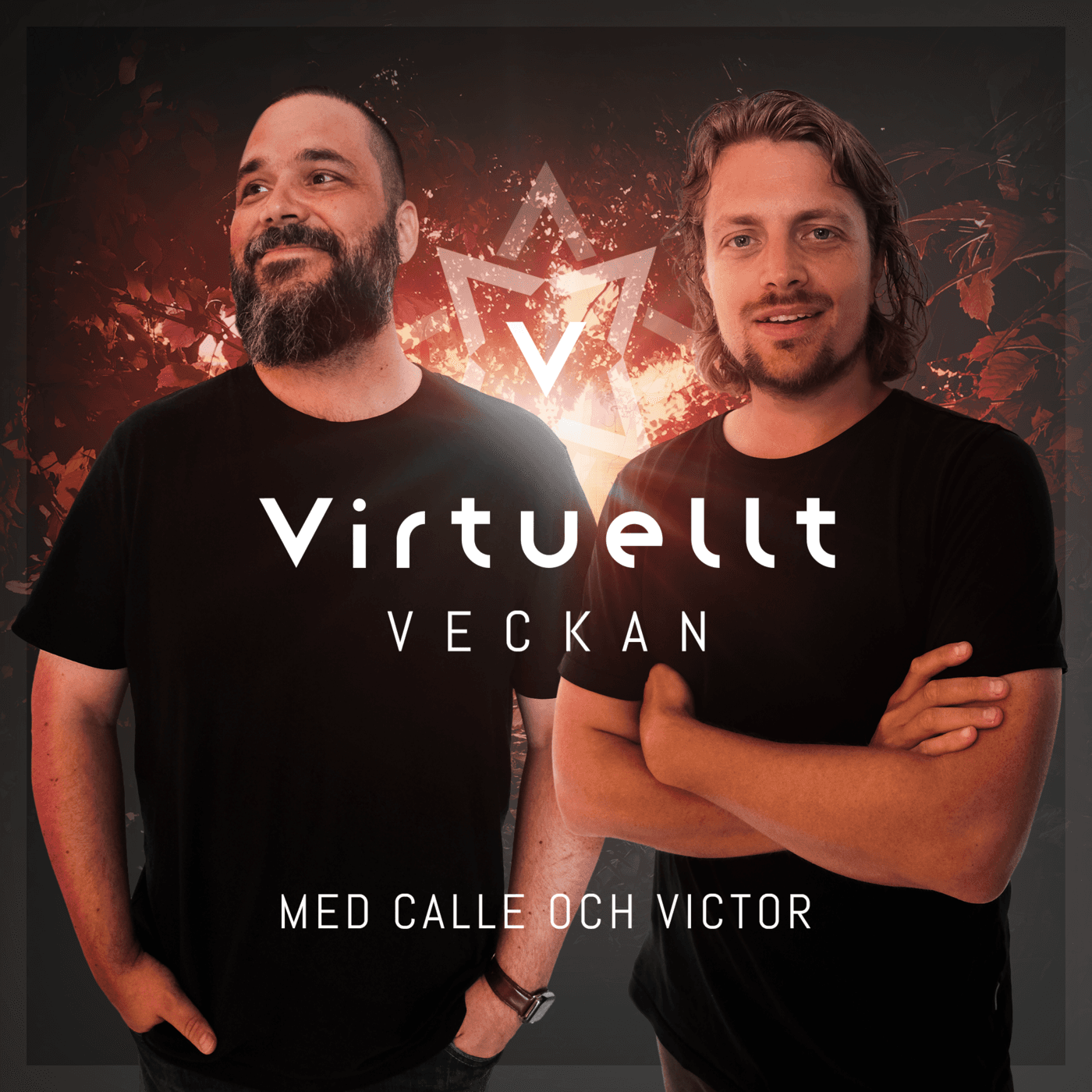 https://assets.pod.space/system/episodes/images/455/af4/d9-/large/Cover-Virtuellt-Veckan-2024-2.png