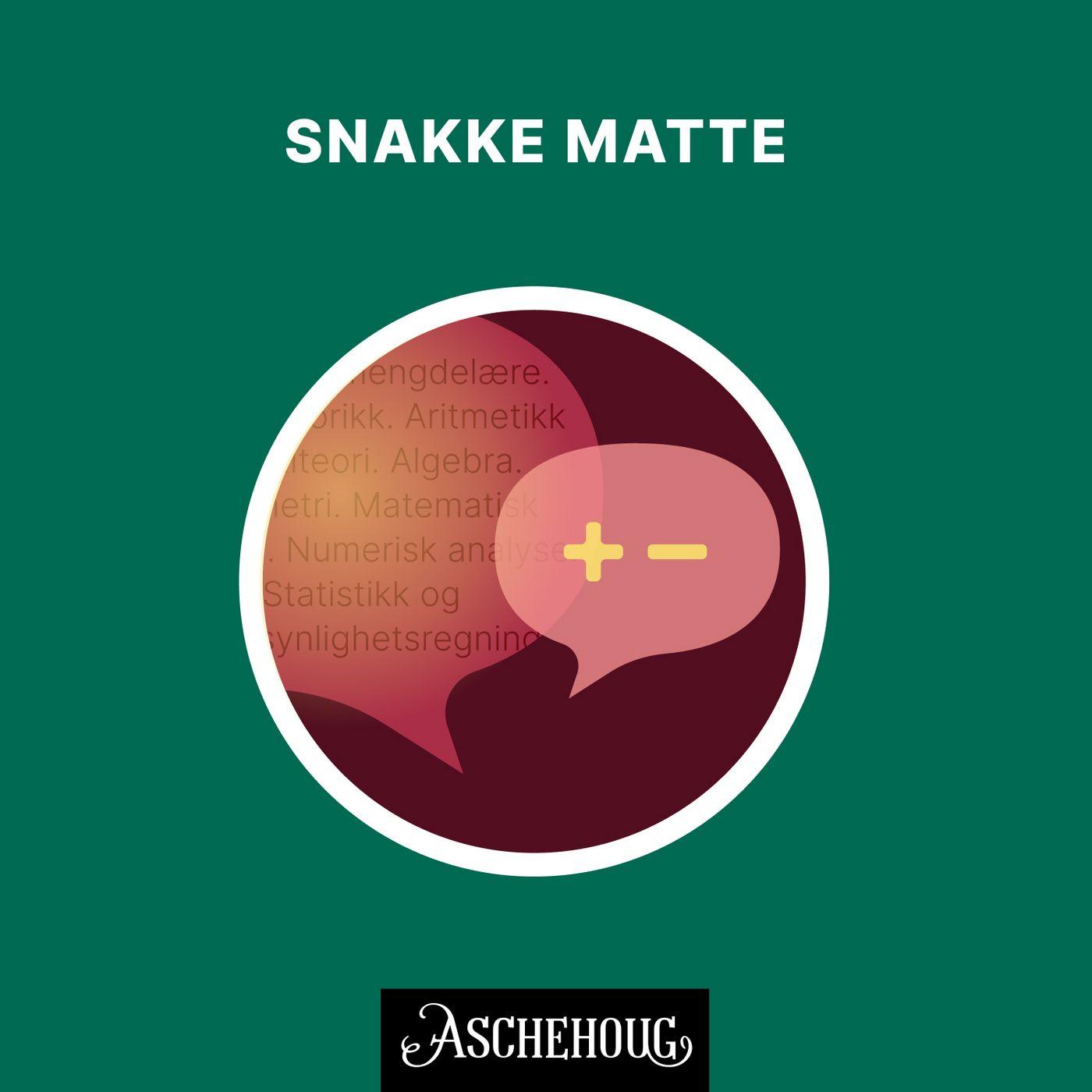 https://assets.pod.space/system/shows/images/5b3/4b8/ca-/large/SnakkeMatte.jpg