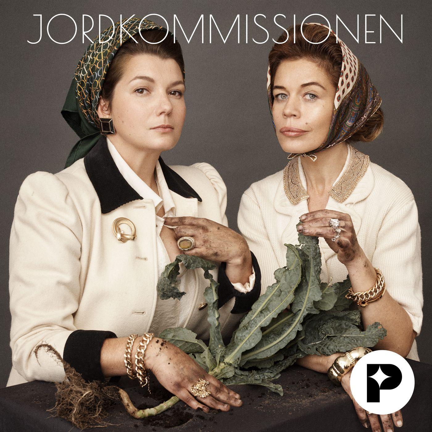 https://assets.pod.space/system/shows/images/5c3/96c/50-/large/Jordkommissionen.jpg