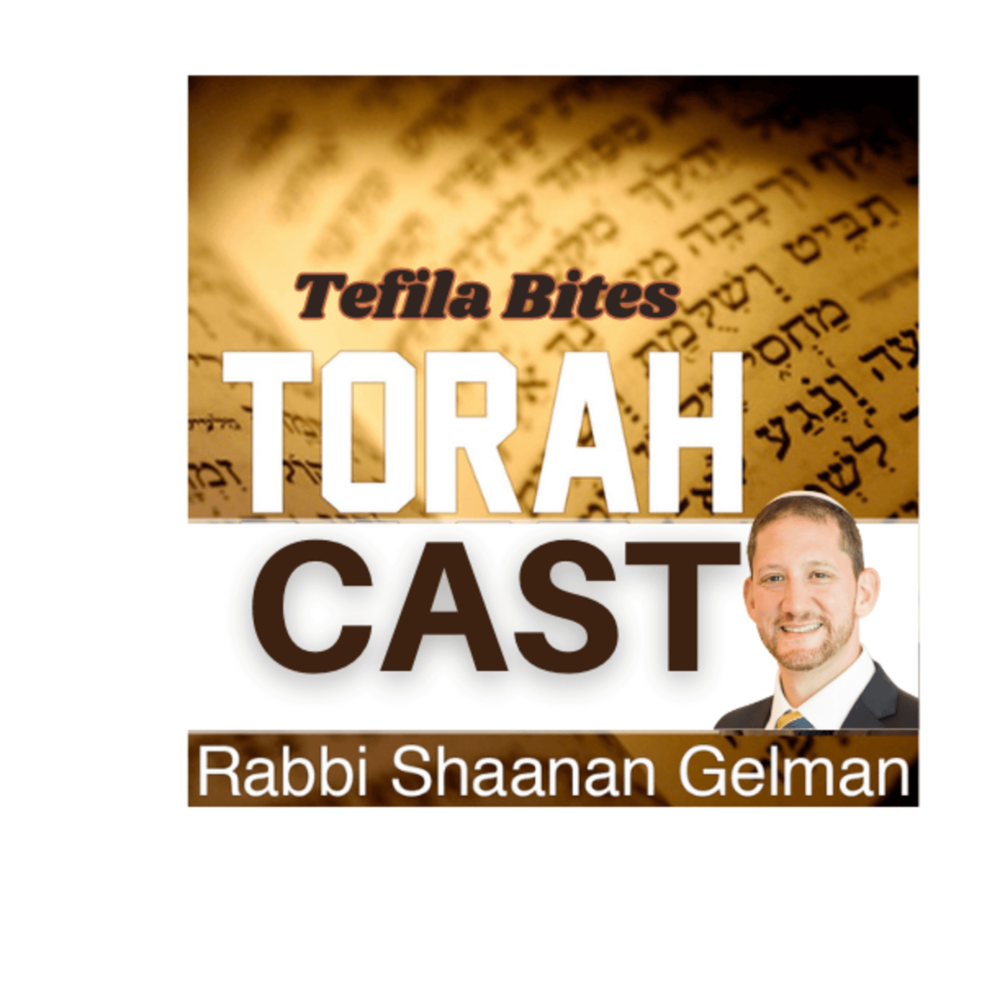 https://assets.podomatic.net/ts/b2/ab/44/rabbi7362/1400x1400_16643189.png
