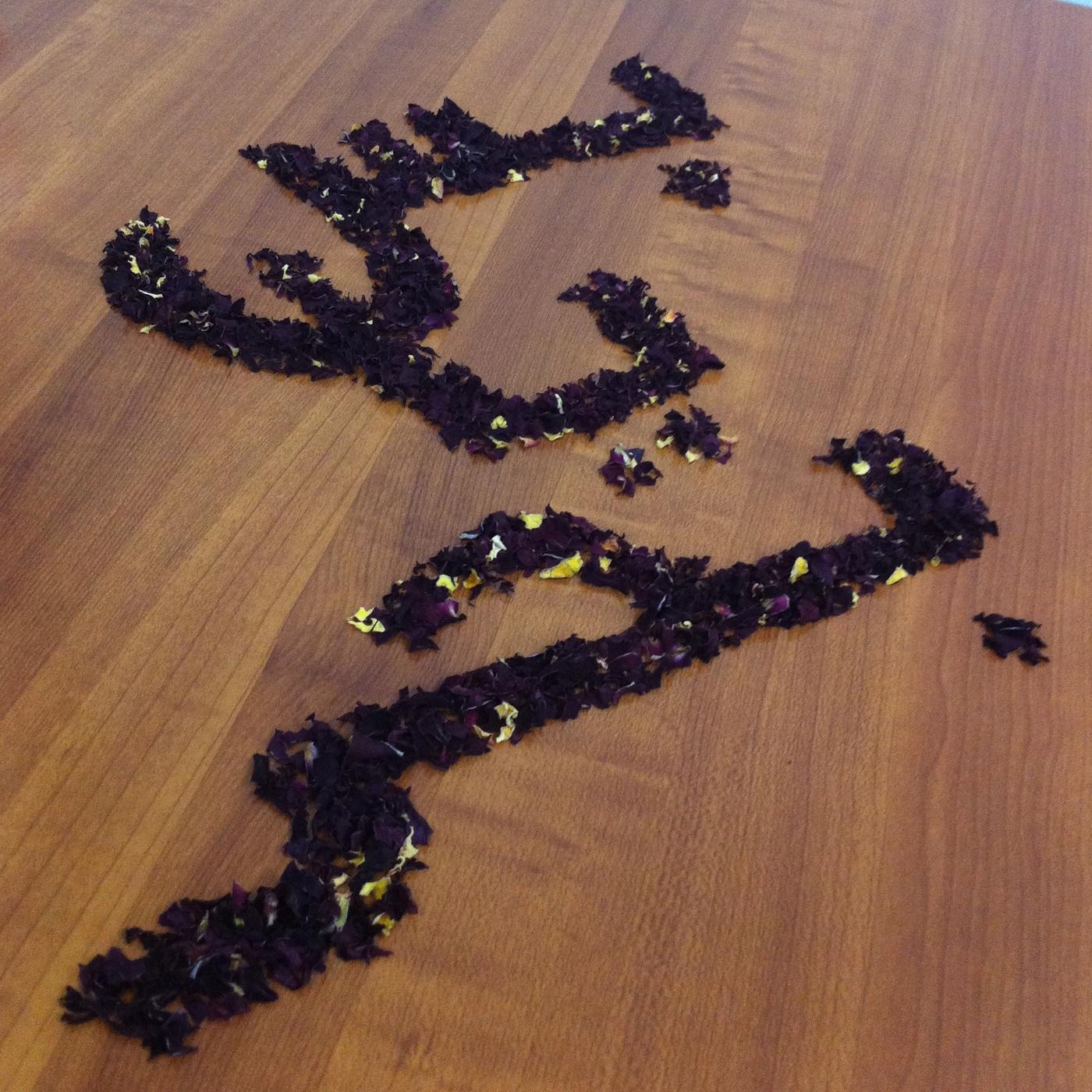 https://assets.podomatic.net/ts/ce/d7/af/a-aanaar/1400x1400-1886x1886+505+32_12585594.jpg