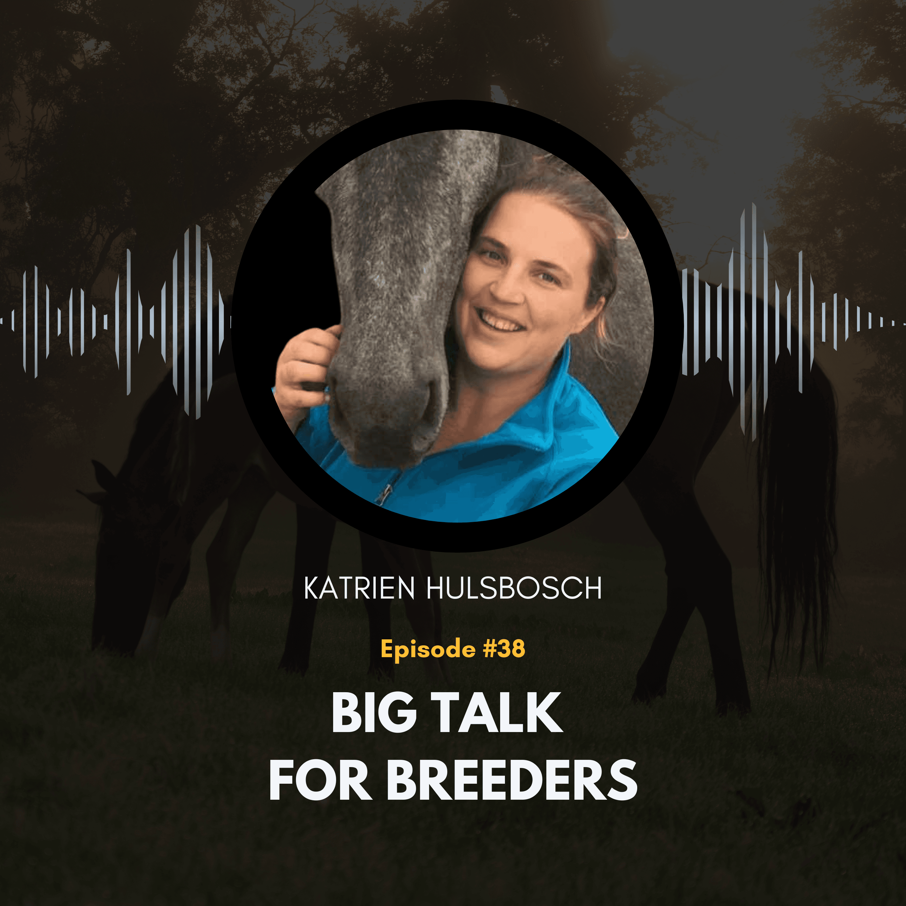 https://audioboom.com/i/42740155.png