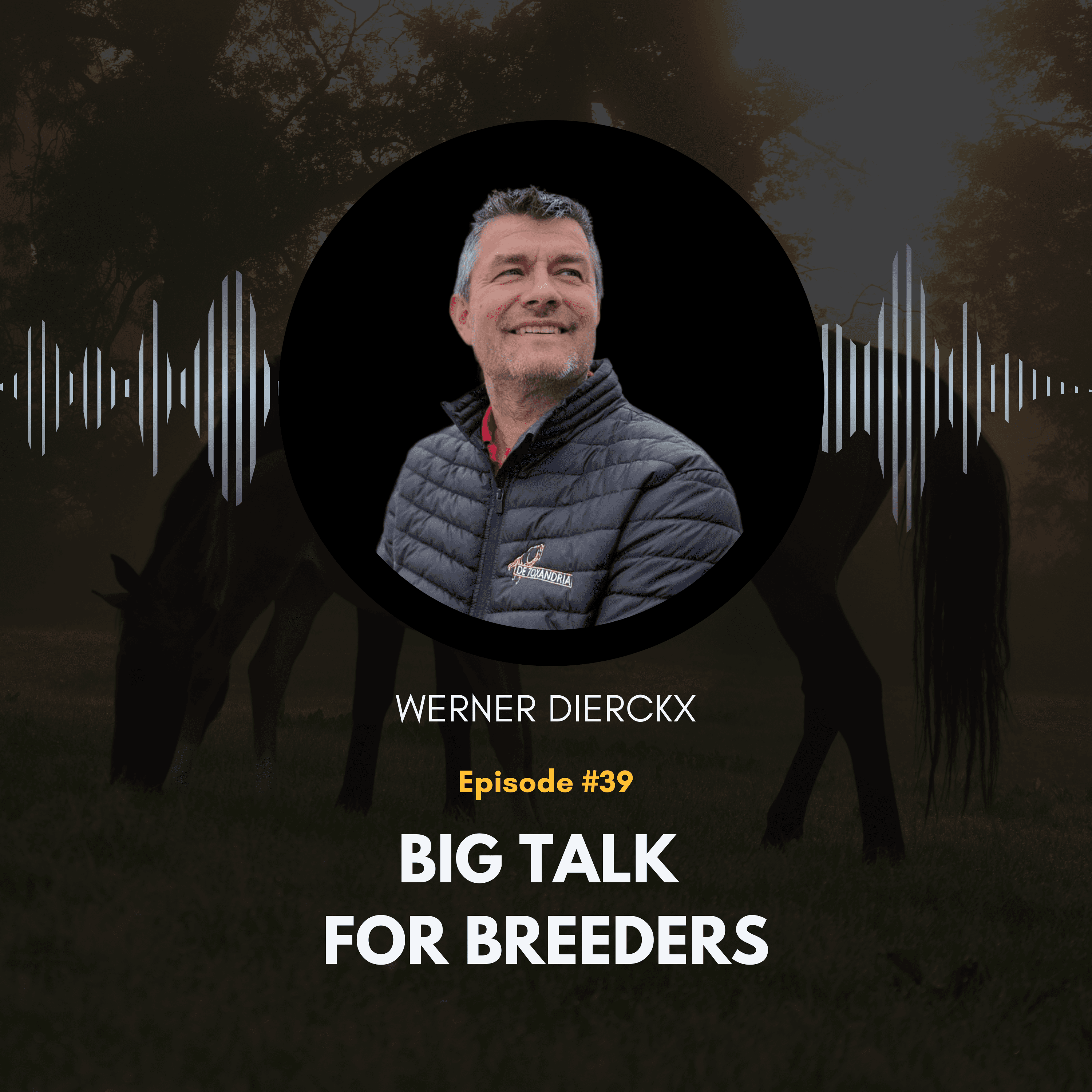https://audioboom.com/i/42856299.png