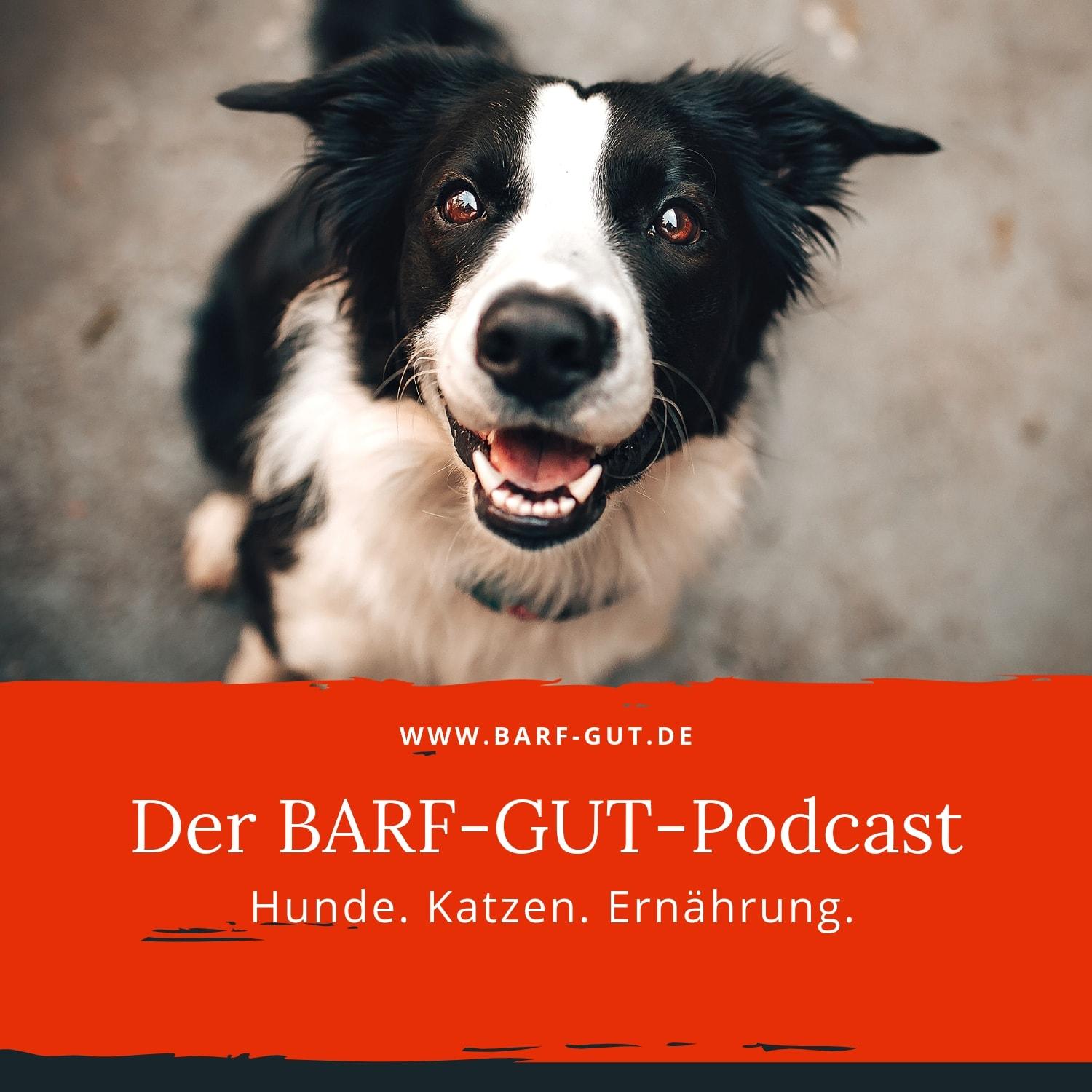 https://barfgut.podcaster.de/barfgut/logos/Podcast-Titel-min.jpg
