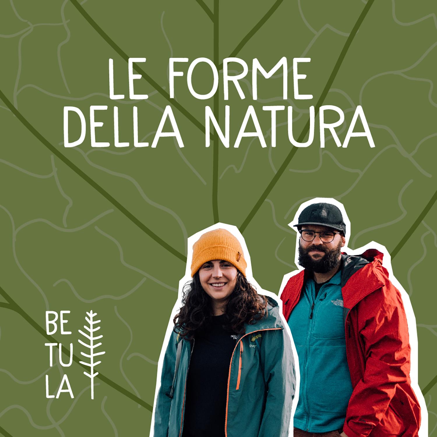 https://betulastuff.com/wp-content/uploads/2024/09/Le-forme-della-natura_Betula-stuff.jpg