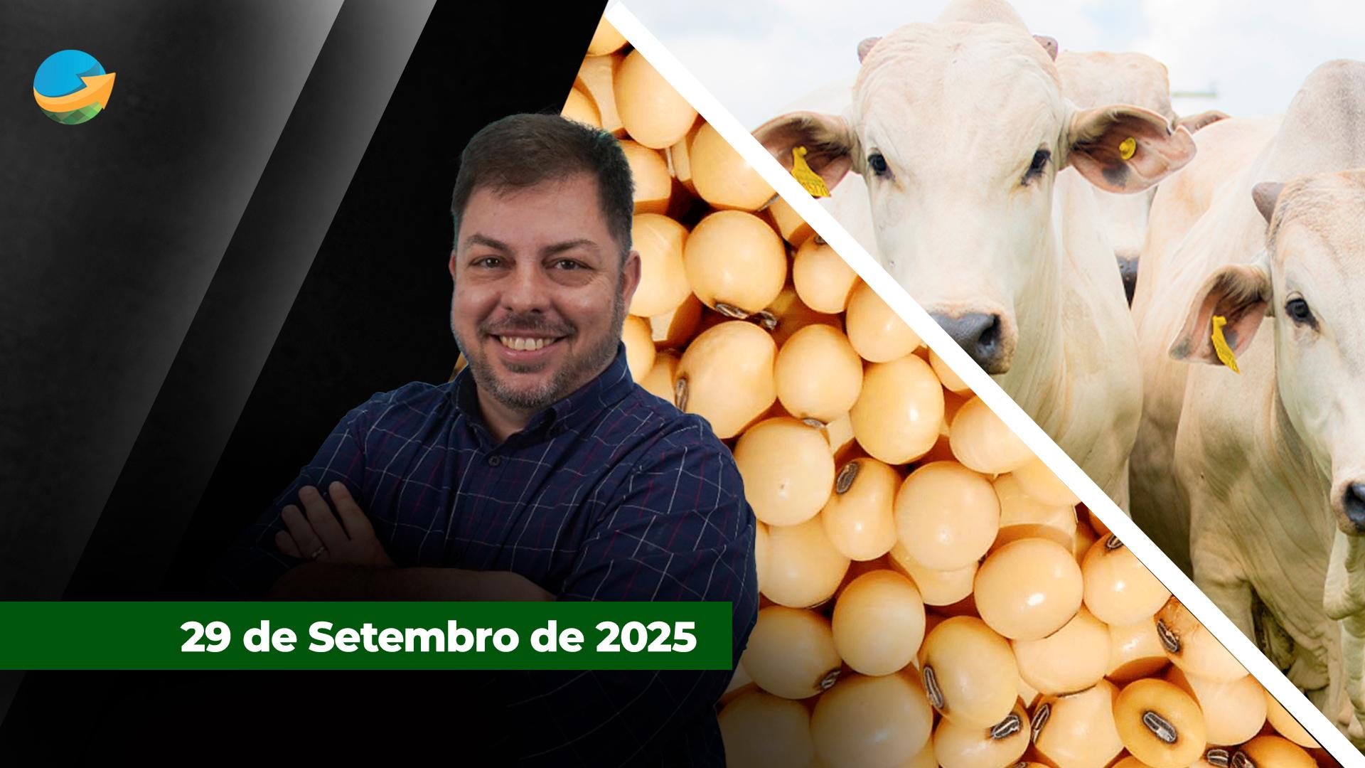 https://cdn.noticiasagricolas.com.br/dbimagens/zfecha-LfxlK.jpg