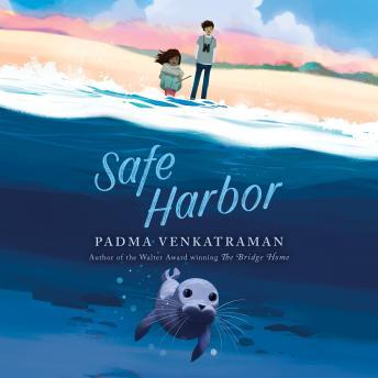 https://covers.audiobooks.com/images/covers/full/9798217017690.jpg