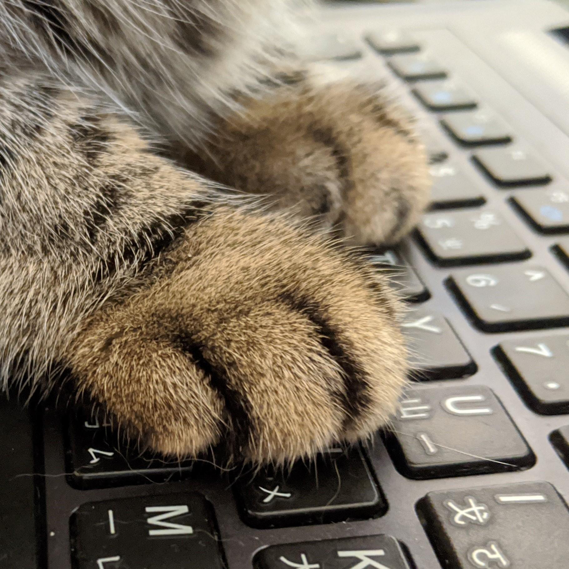 https://d3mww1g1pfq2pt.cloudfront.net/Avatar/ckdh0zd6bqk7808049parnqpo/1598430508573.jpeg