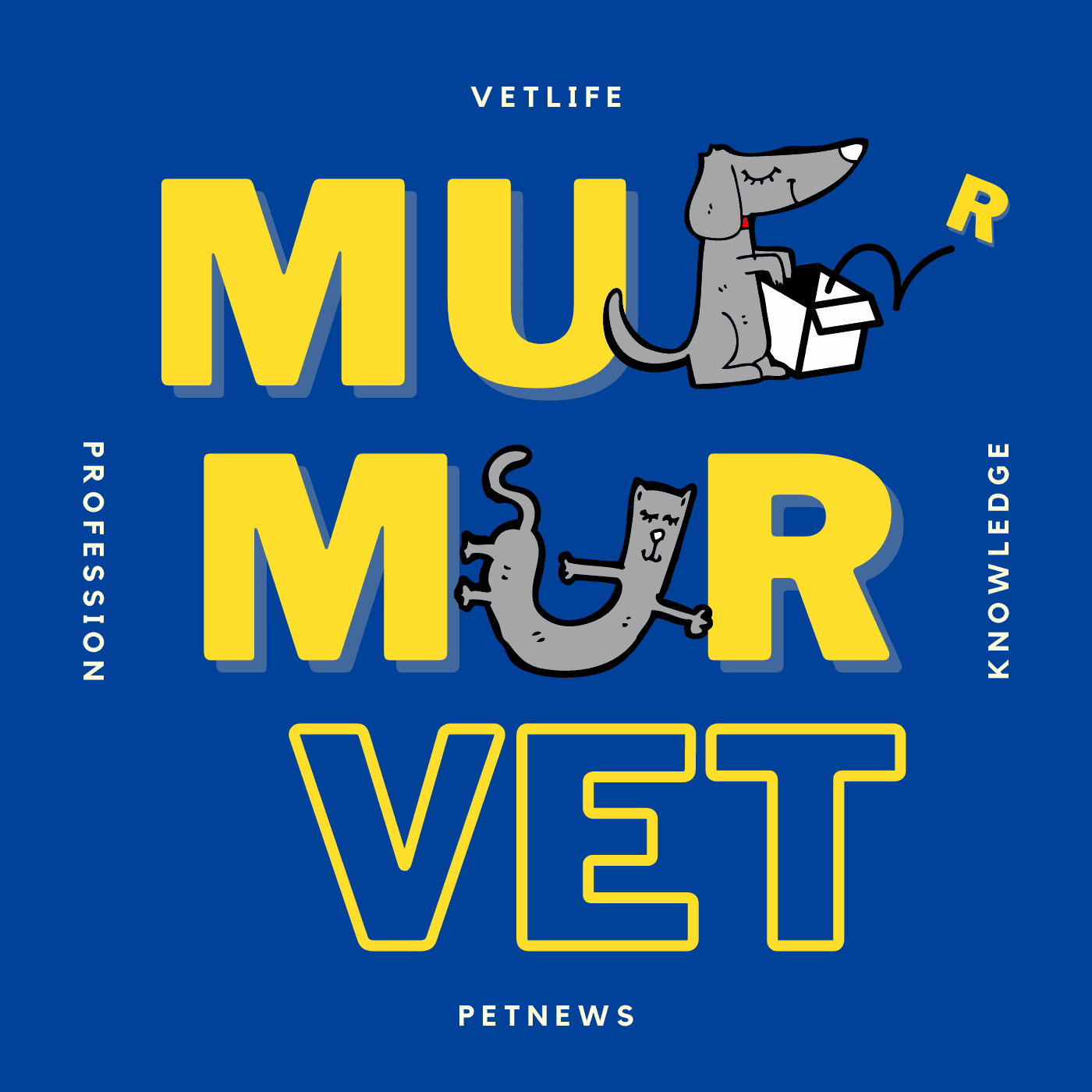 https://d3mww1g1pfq2pt.cloudfront.net/Avatar/cke05jq3xfdjj0803d5e7uhzh/1597827063388.png