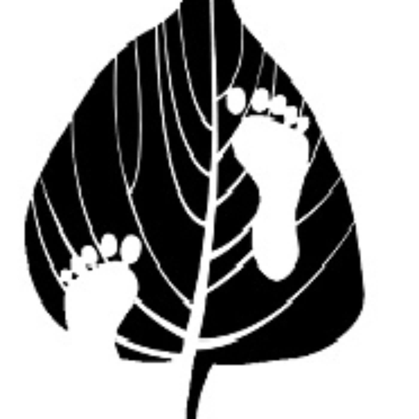 https://d3mww1g1pfq2pt.cloudfront.net/Avatar/ckwz3253l2rfe0894okz5mpqo/1639061772508.jpg