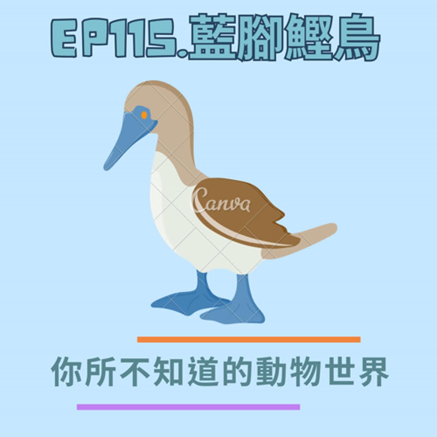 https://d3mww1g1pfq2pt.cloudfront.net/Image/ckk7xp7zt1tb80871tzzrga97/yiHJb6b6uDD-Kltgnupx1.jpg