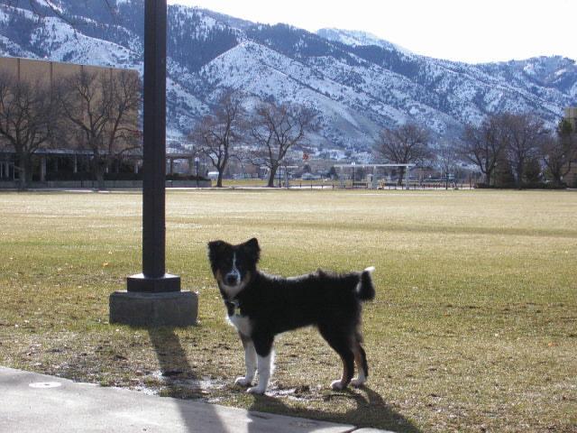 https://d3mww1g1pfq2pt.cloudfront.net/Image/ckr0n37vh047i0859briz8byu/1626604088094.jpg
