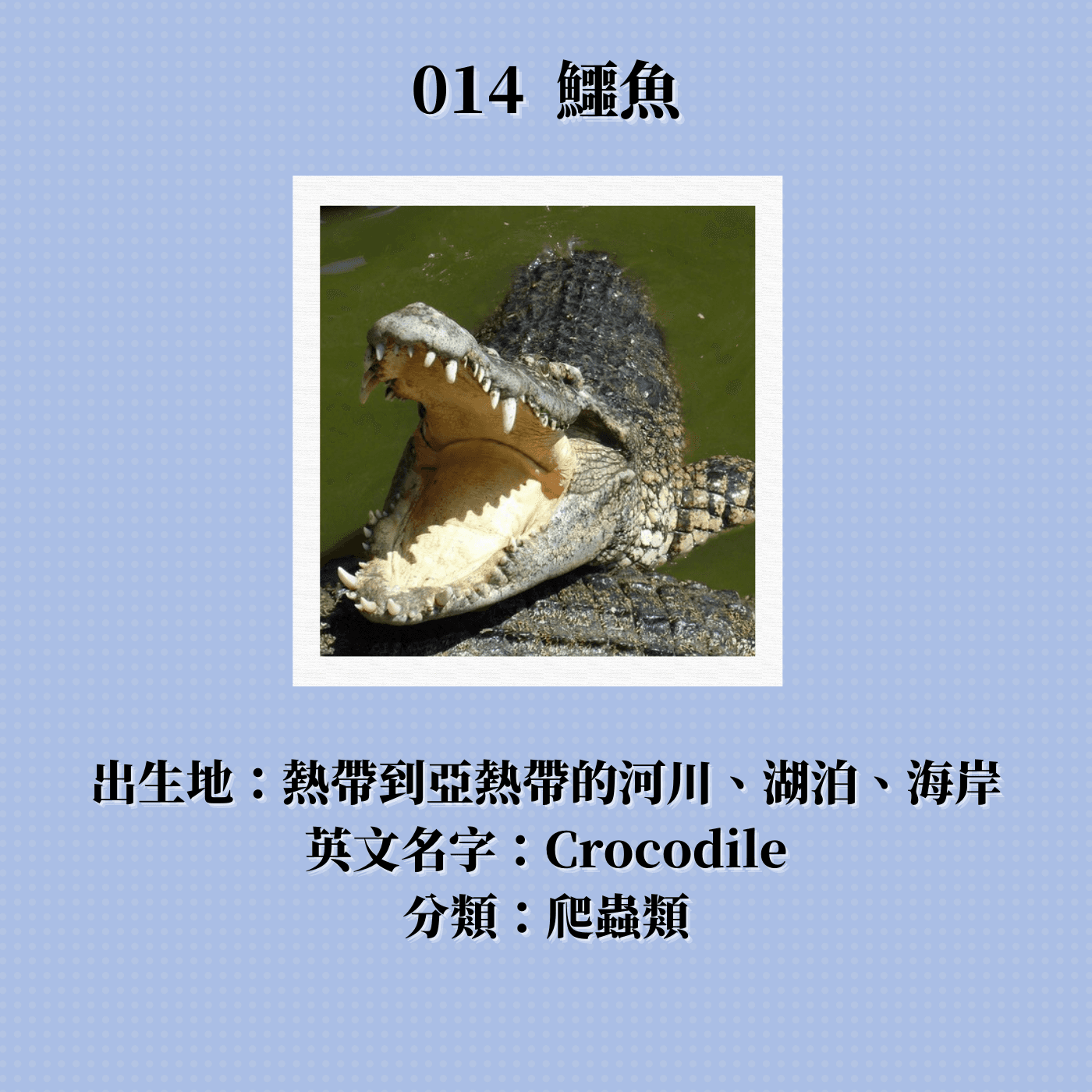https://d3mww1g1pfq2pt.cloudfront.net/Image/ckufk0hsjet7y0838c1wypnzx/1644589445537.png