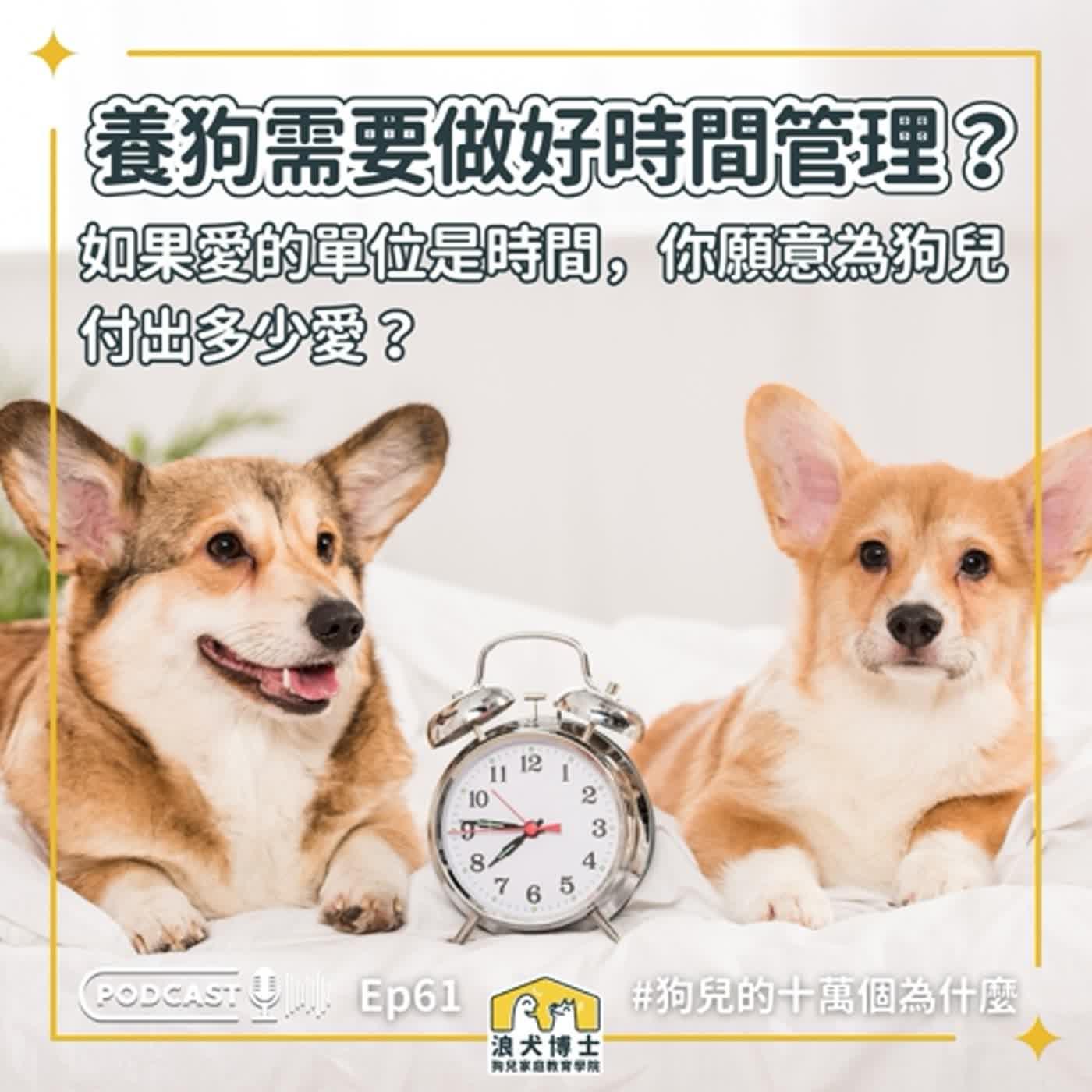 https://d3mww1g1pfq2pt.cloudfront.net/Image/cldv320sy0lyy01t464ocds7n/bI7NLjyQ6tZtqDy1We1bX.jpg
