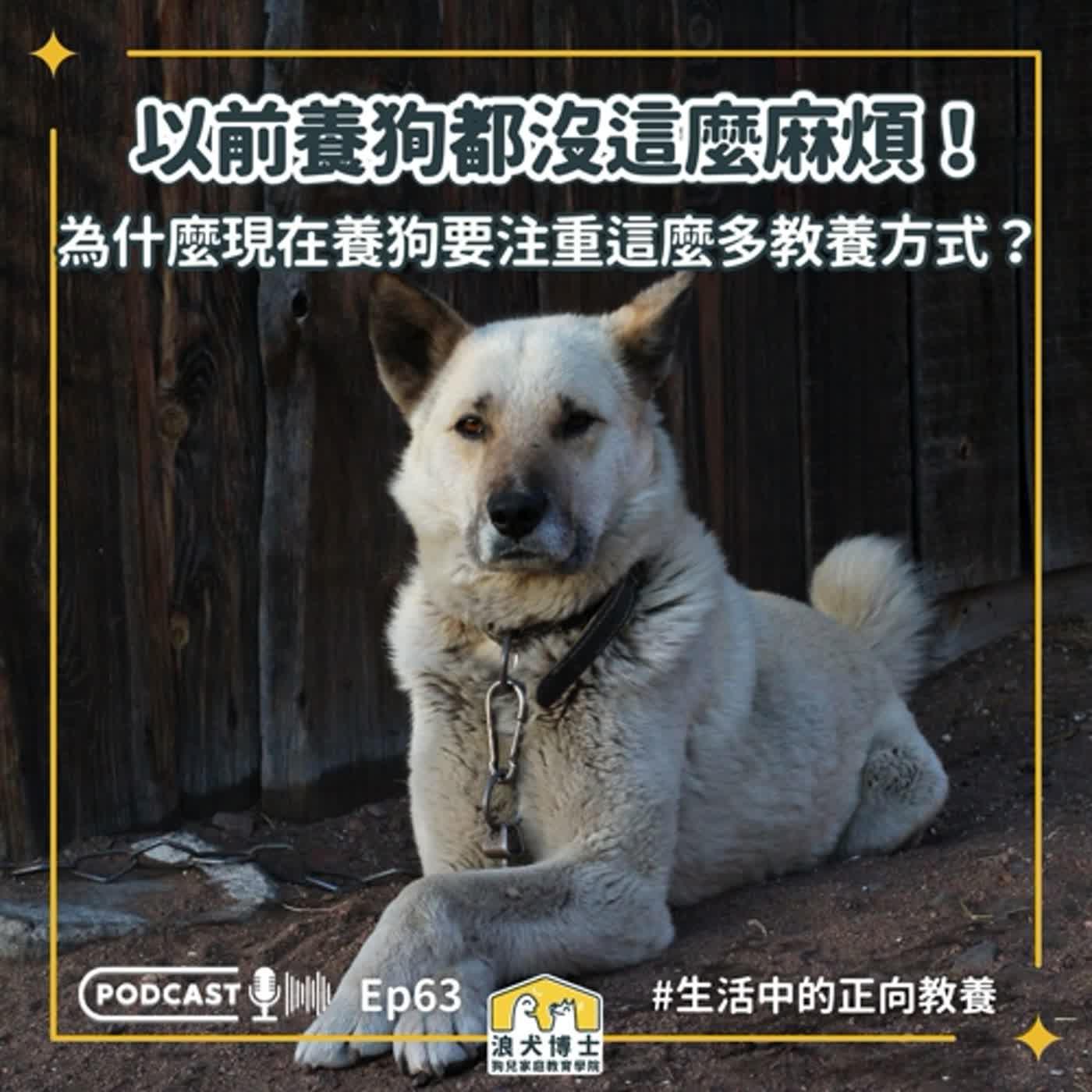 https://d3mww1g1pfq2pt.cloudfront.net/Image/cldv320sy0lyy01t464ocds7n/vck2AFoRC1dL7nT8hZZle.jpg