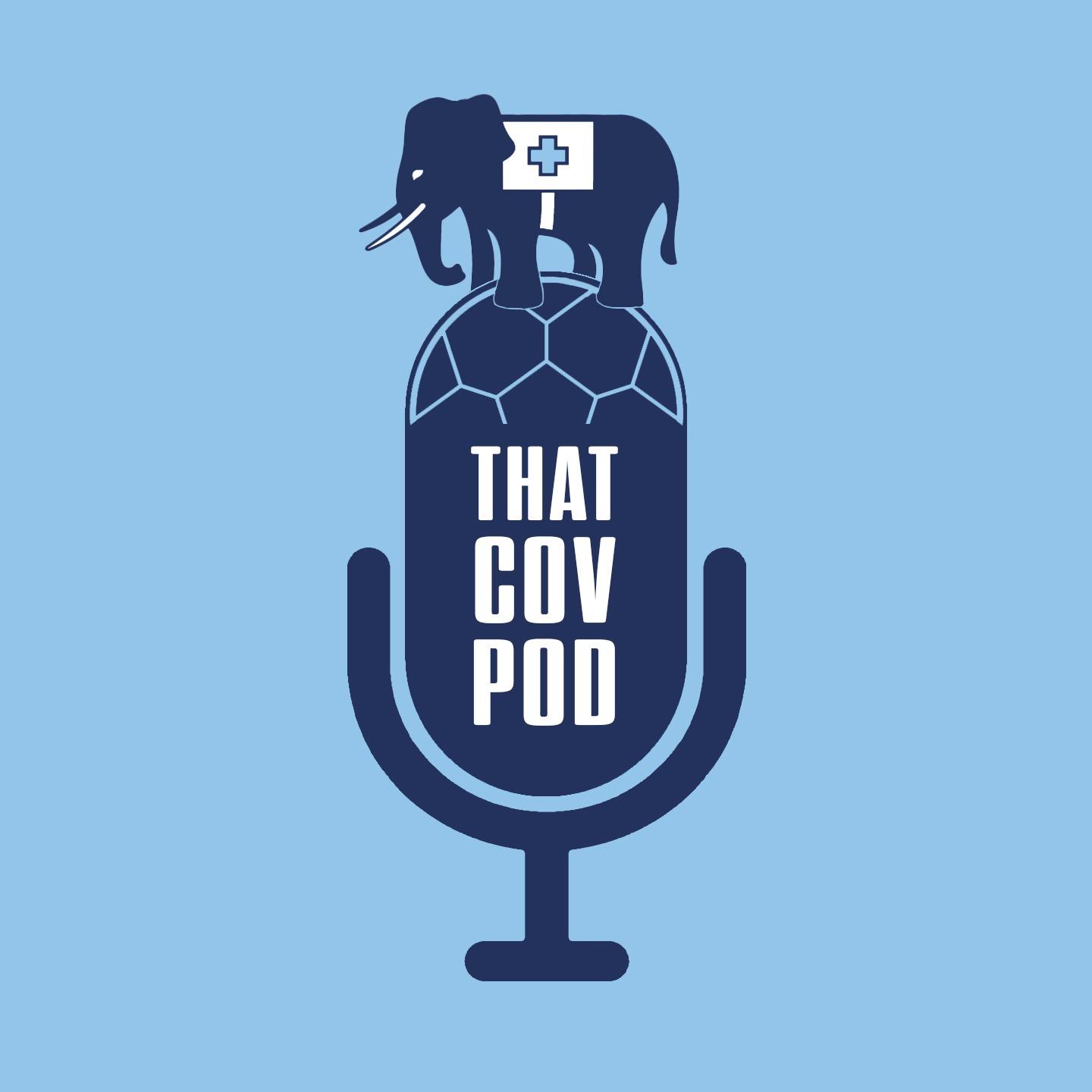 https://d3t3ozftmdmh3i.cloudfront.net/staging/podcast_uploaded_nologo/41792138/132d02145dd00cdc.jpg