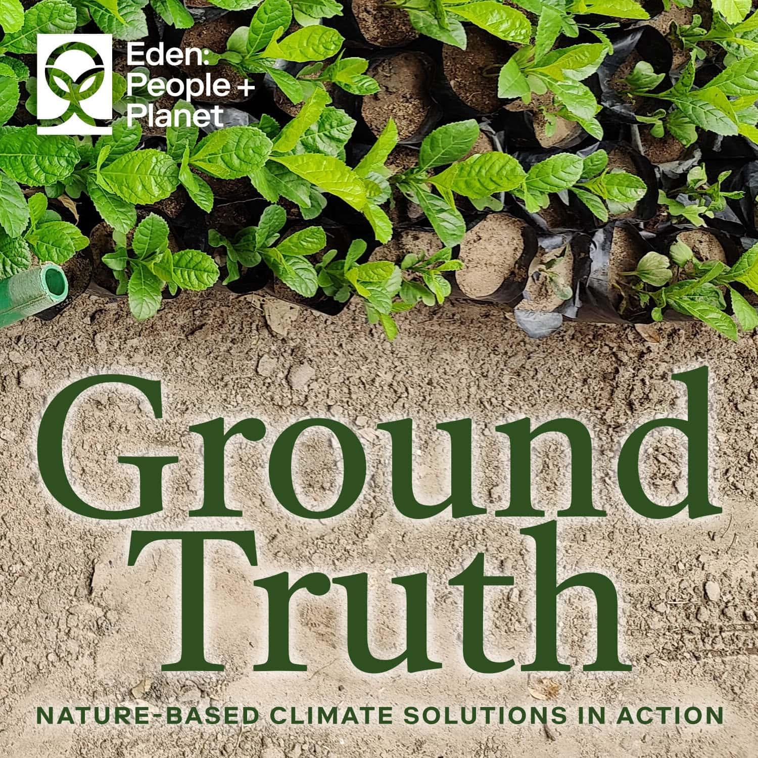 https://eden-plus.org/wp-content/uploads/2025/04/2501002-cover-s01e02.jpg