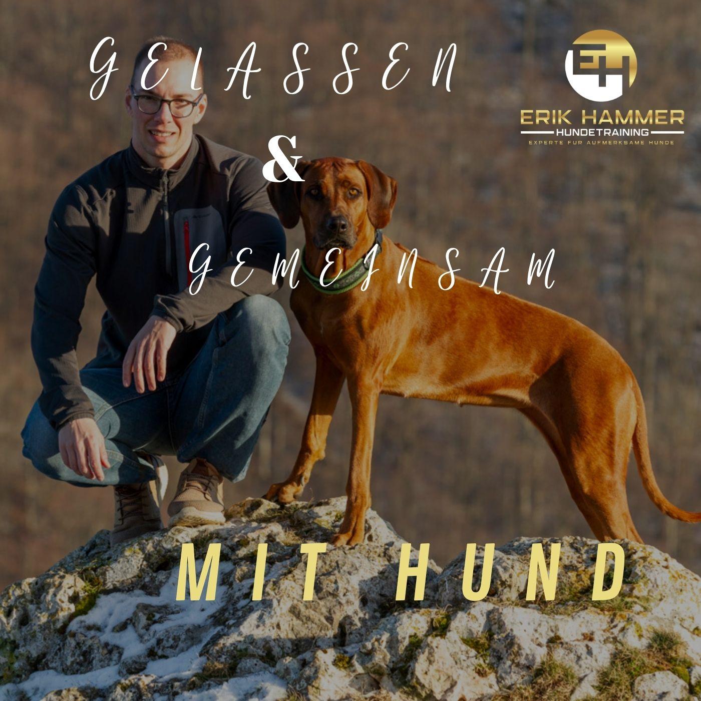 https://erik-hammer.podcaster.de/gemeinsam-mit-hund/logos/cover_podcast(1).jpg