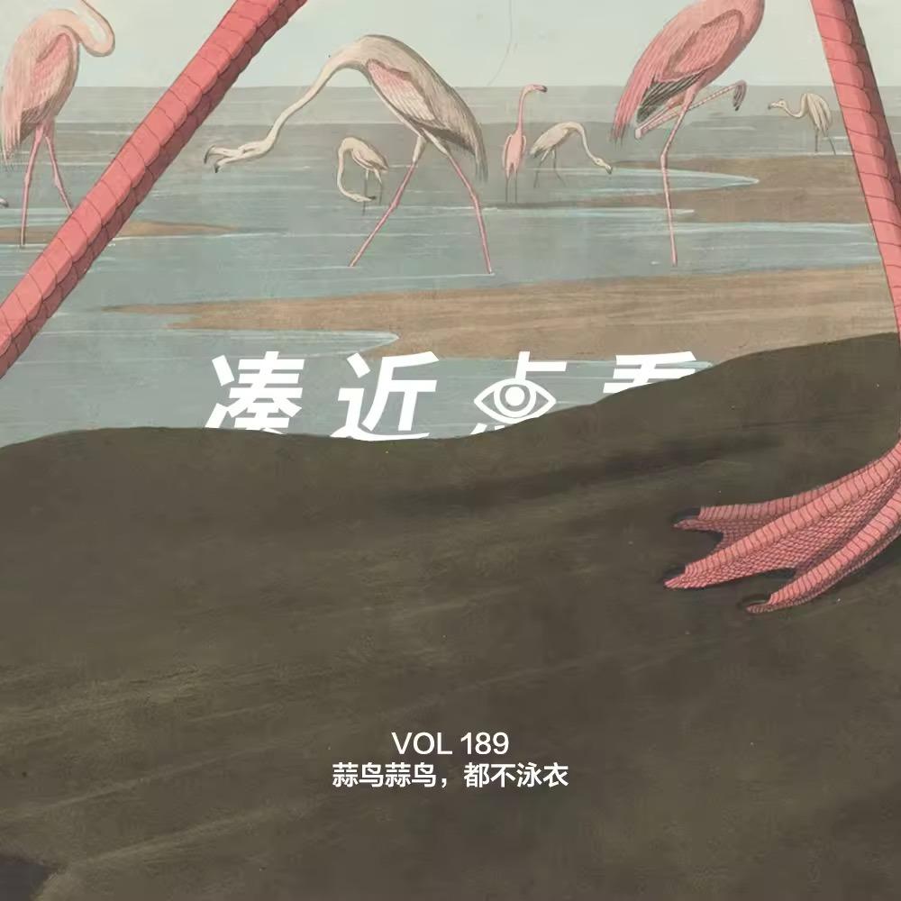 https://fdfs.xmcdn.com/storages/8ef5-audiofreehighqps/A2/6F/GAqhp50MRZphAAINogPe9Il3.jpeg