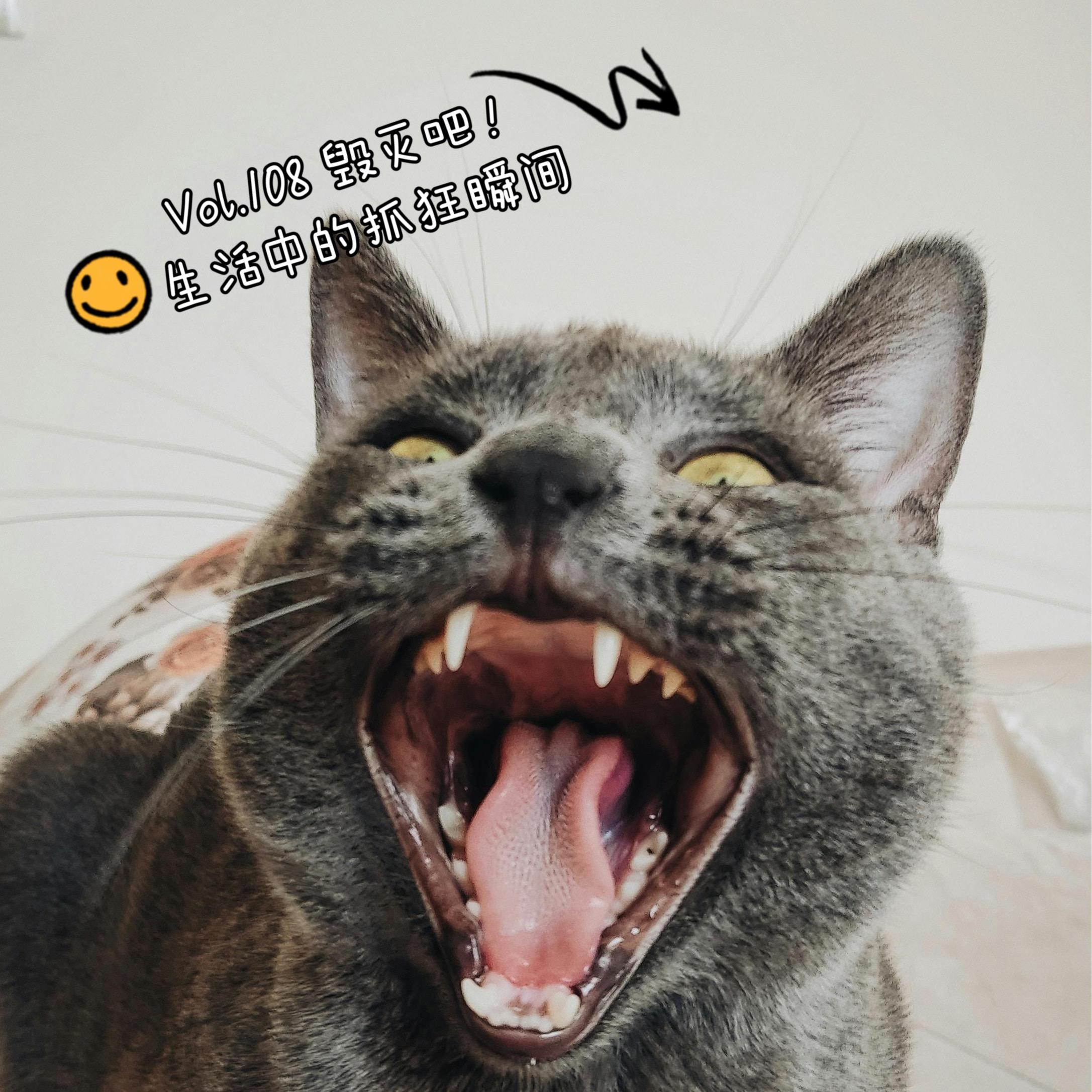 https://fdfs.xmcdn.com/storages/d697-audiofreehighqps/CC/5B/GKwRIUEMOZGJAA14JgPWxClM.jpeg