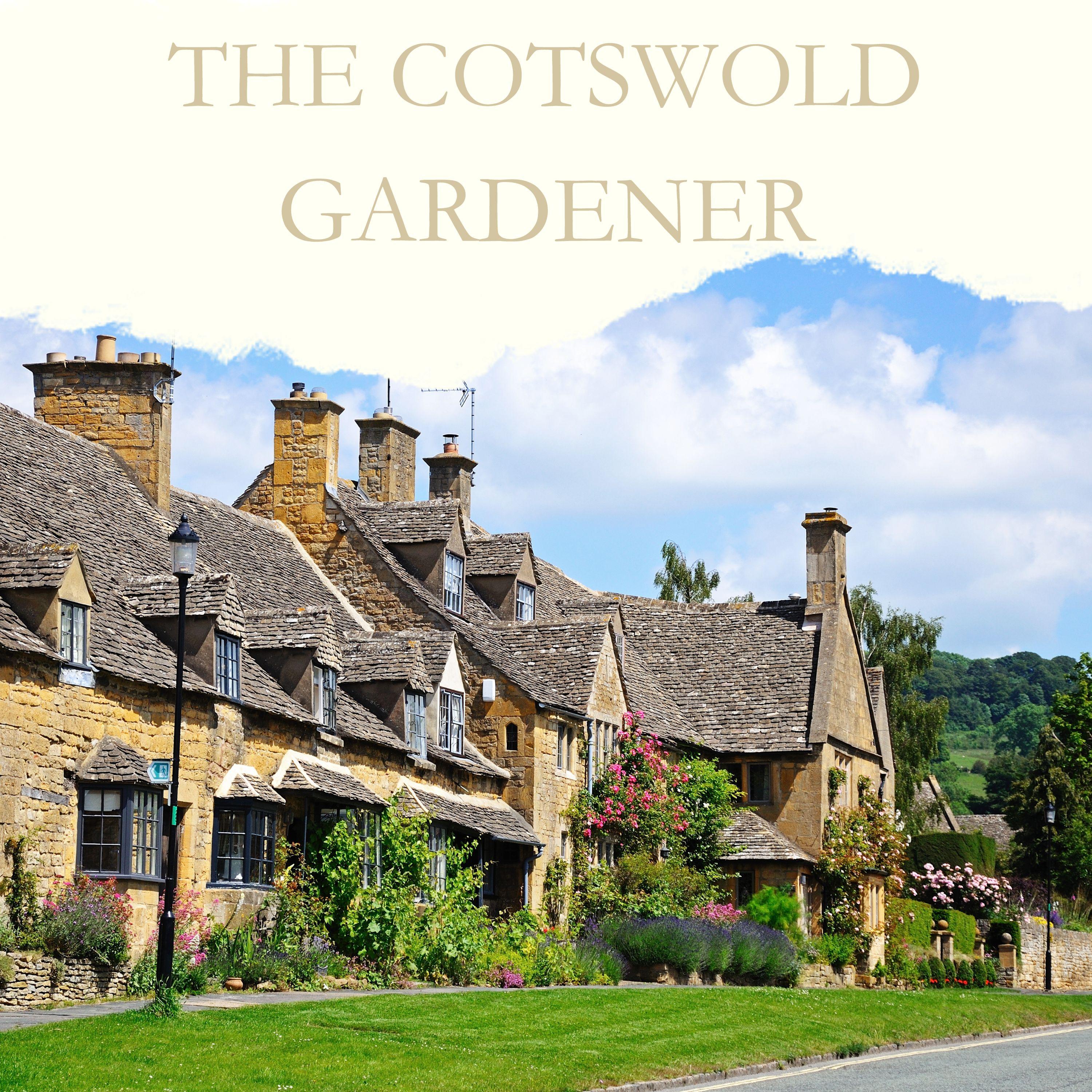 https://feeds.podcastle.ai/8f/rDgm-the-cotswold-gardener-podcast-png.jpeg
