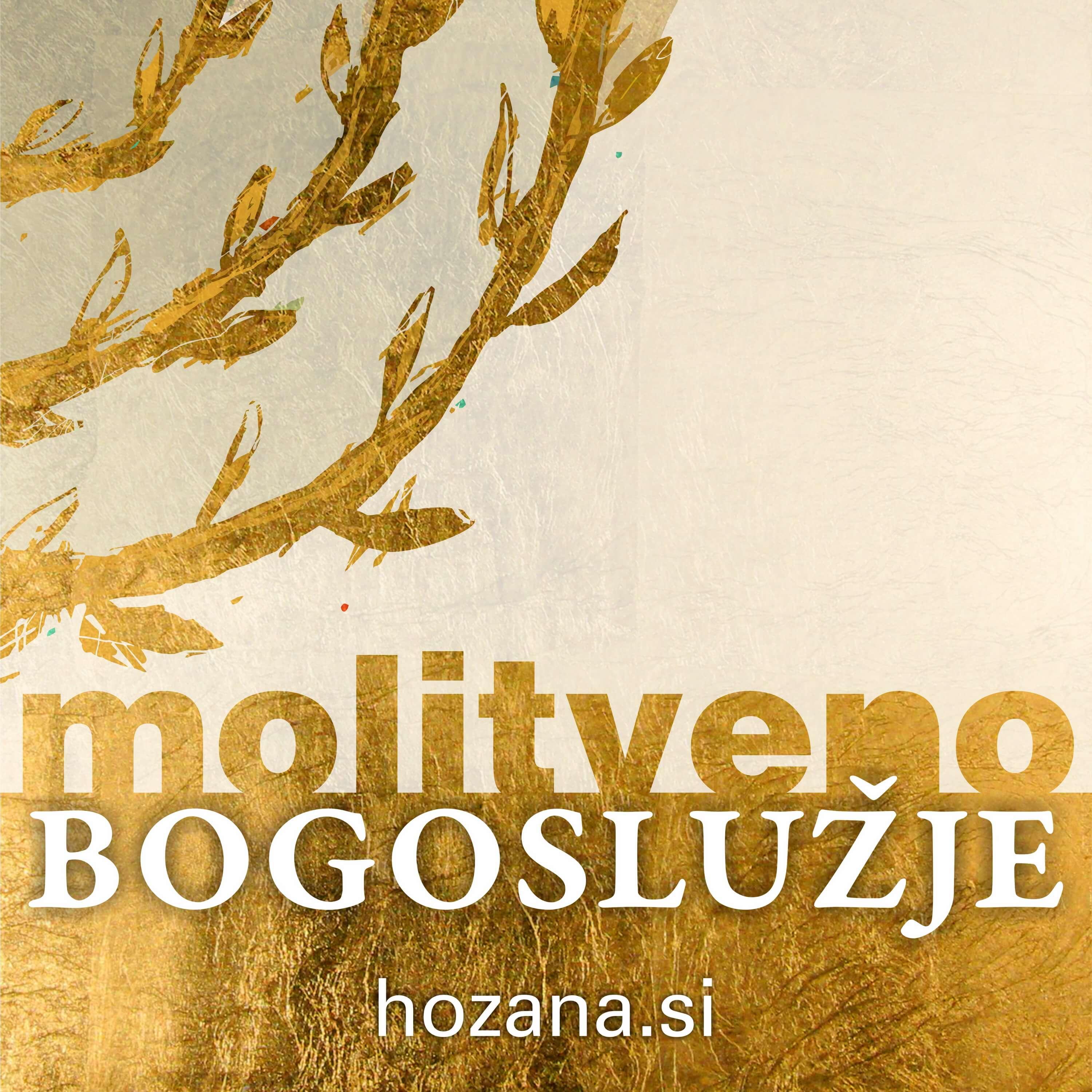 https://hozana.si/mp3/avdio_brevir/v2/mp3/avdio_brevir_rss_B.jpg