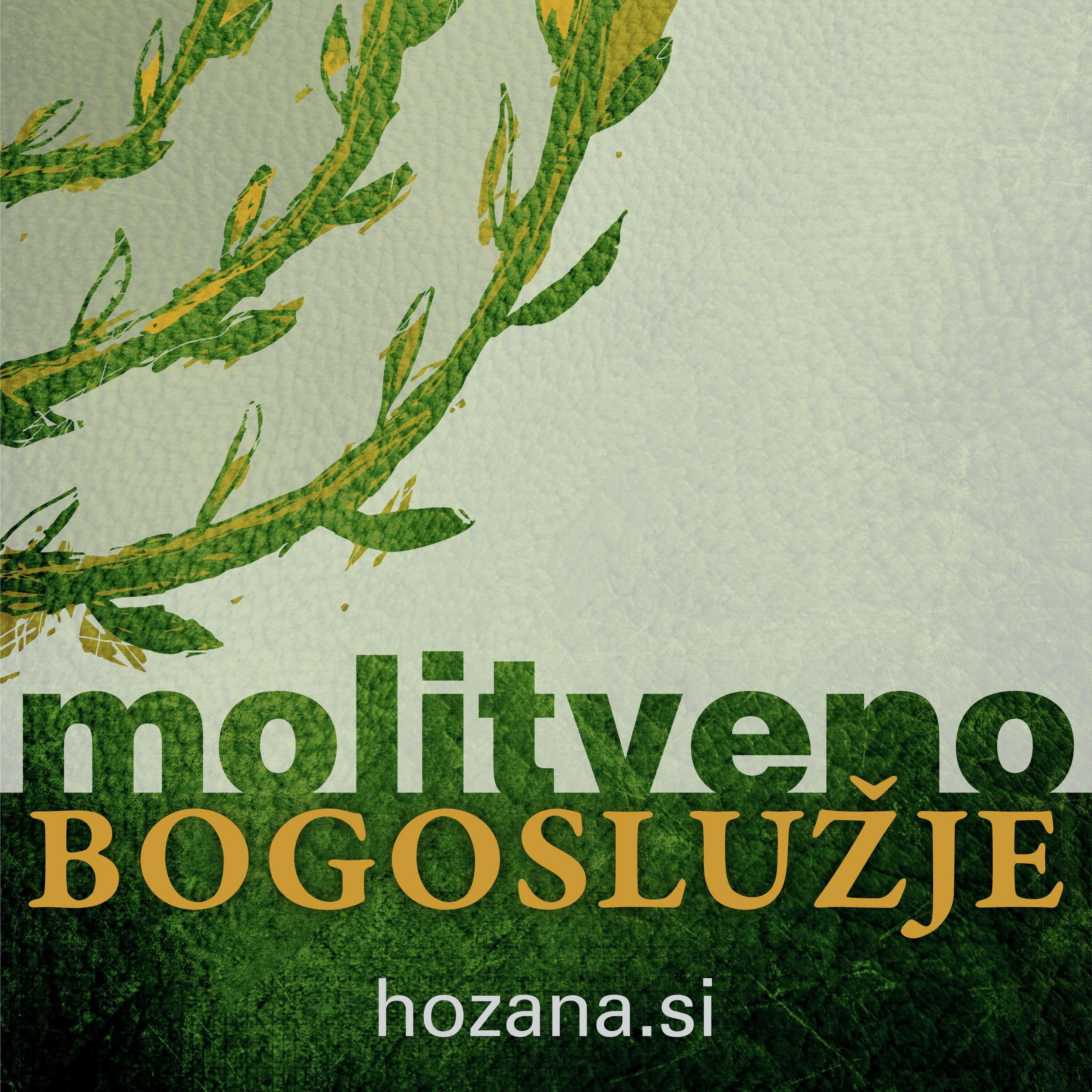 https://hozana.si/mp3/avdio_brevir/v2/mp3/avdio_brevir_rss_Z.jpg