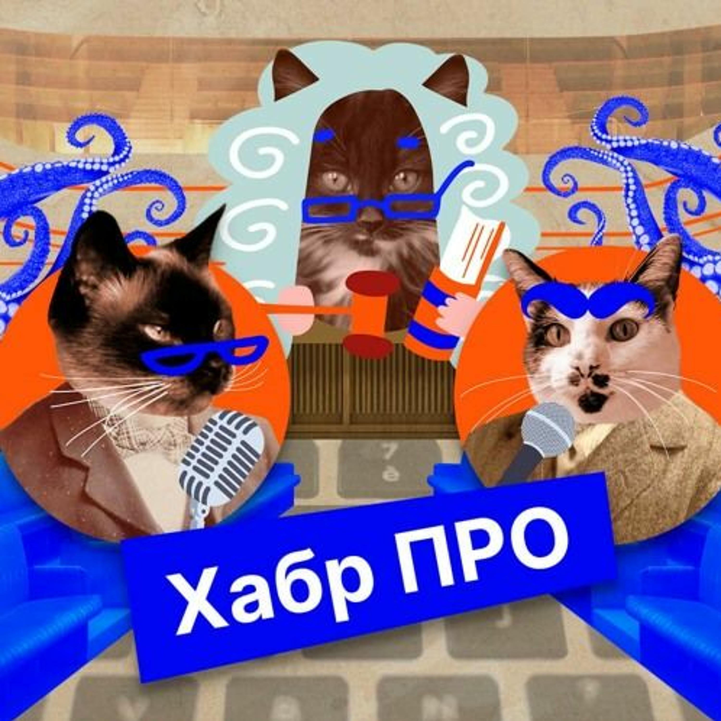 https://i1.sndcdn.com/artworks-oaBA3pY1HEJzj8xe-q68YEQ-t3000x3000.jpg