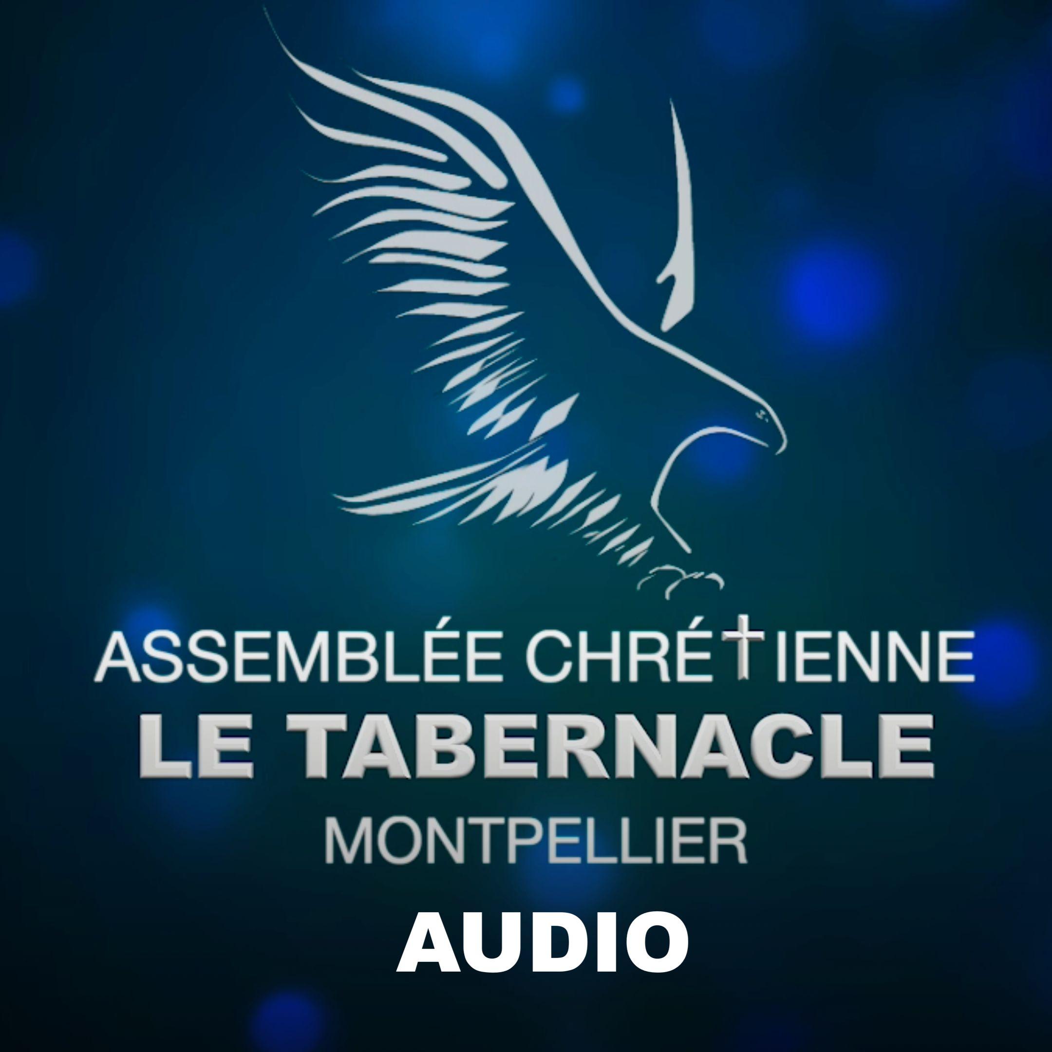 https://i1.sndcdn.com/avatars-PcS8De3CEHNtGgKb-xrzlew-original.jpg