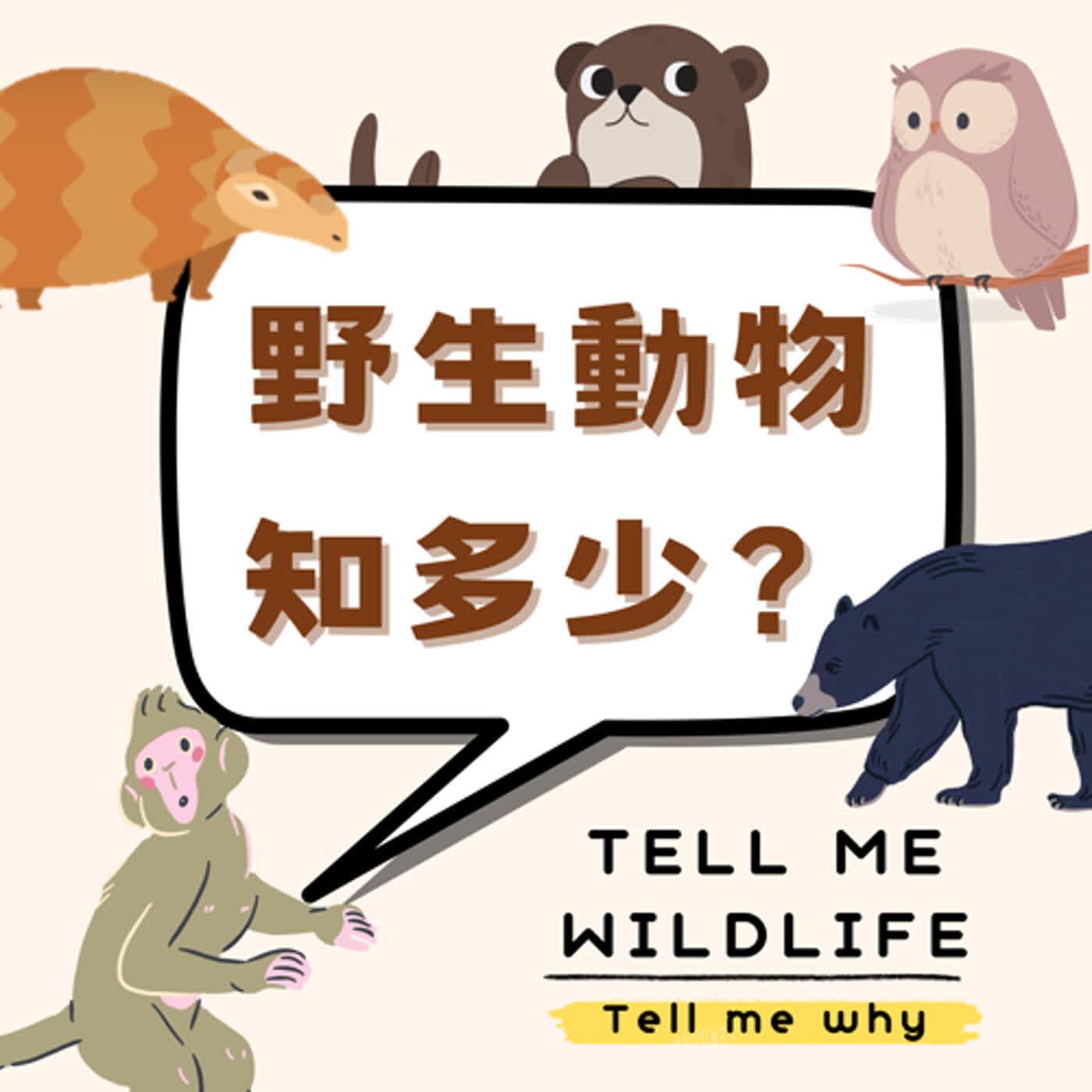 https://image.firstory-cdn.me/Avatar/clt72klps0srn01zz87qi2dqa/1709201717557.jpg