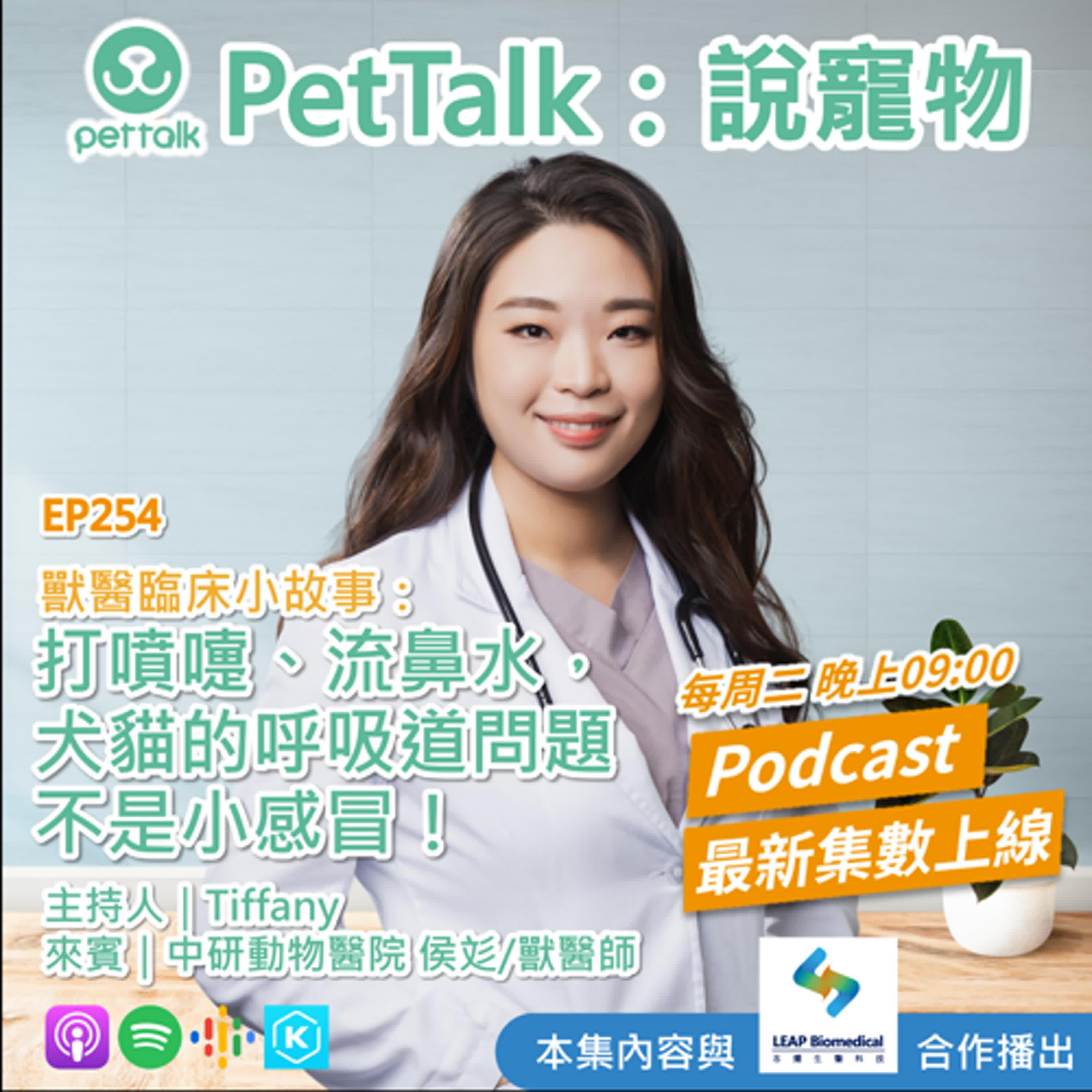 https://image.firstory-cdn.me/Image/ckknfgkv1udg1084526591vpg/ns5gmopcFXl52QvXUhcli.jpg