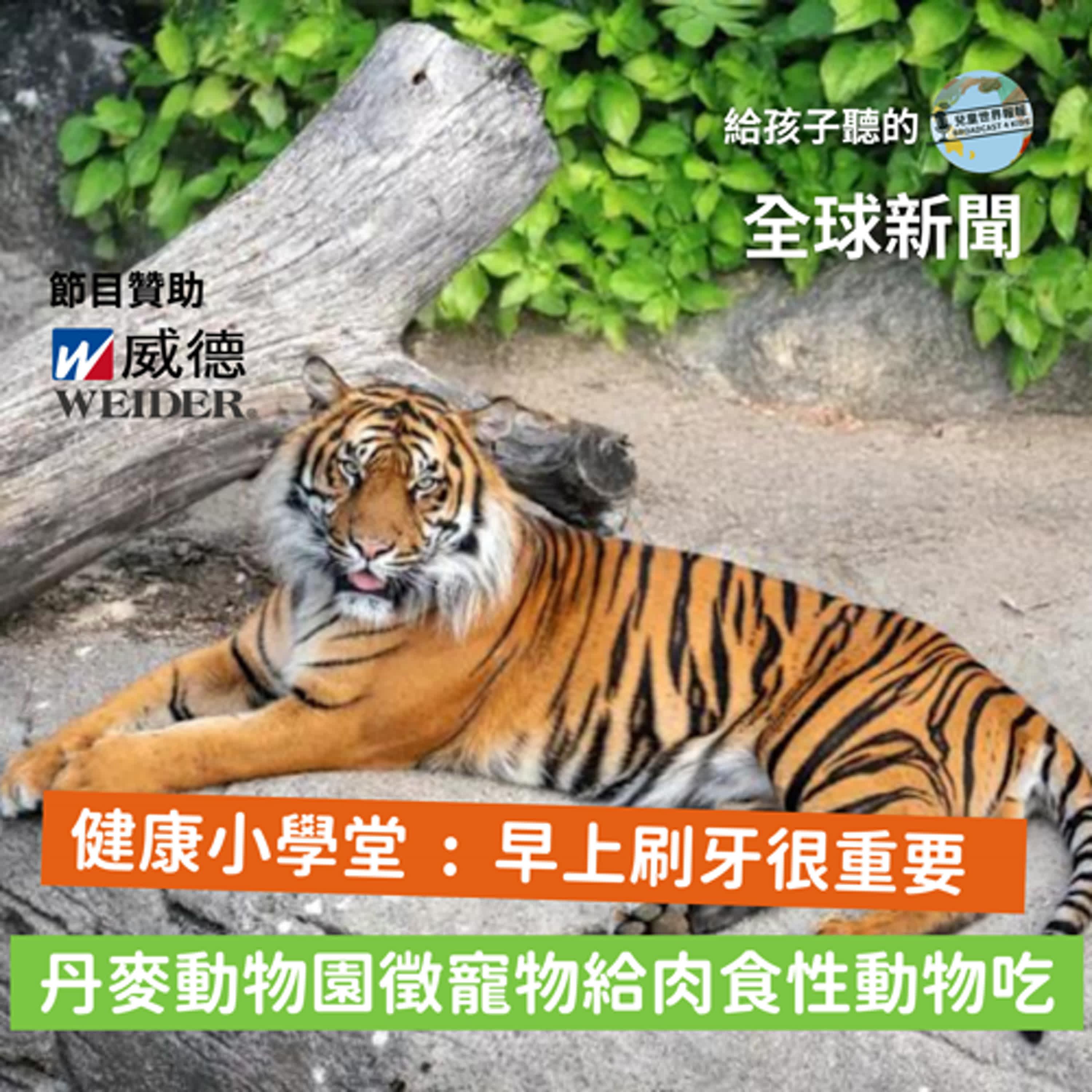 https://image.firstory-cdn.me/Image/cl64nlc3v02jb01uhbqr0d15i/tfFq-FHDLPFse_sB0_FC6.jpg