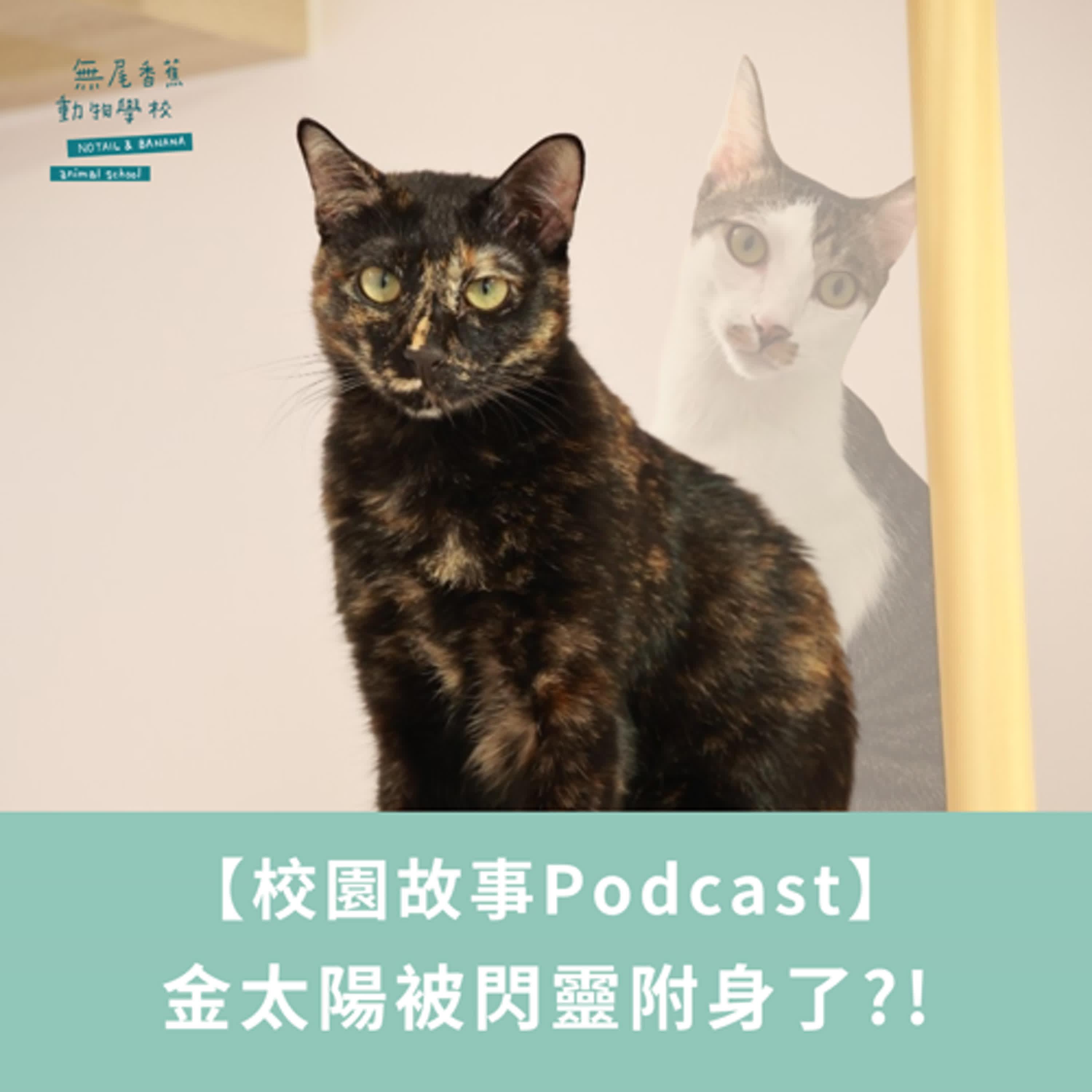 https://image.firstory-cdn.me/Image/cl87iydoh03si01wm048s1ogo/TlK3VSbkUTk3JIm9JQyKh.jpg