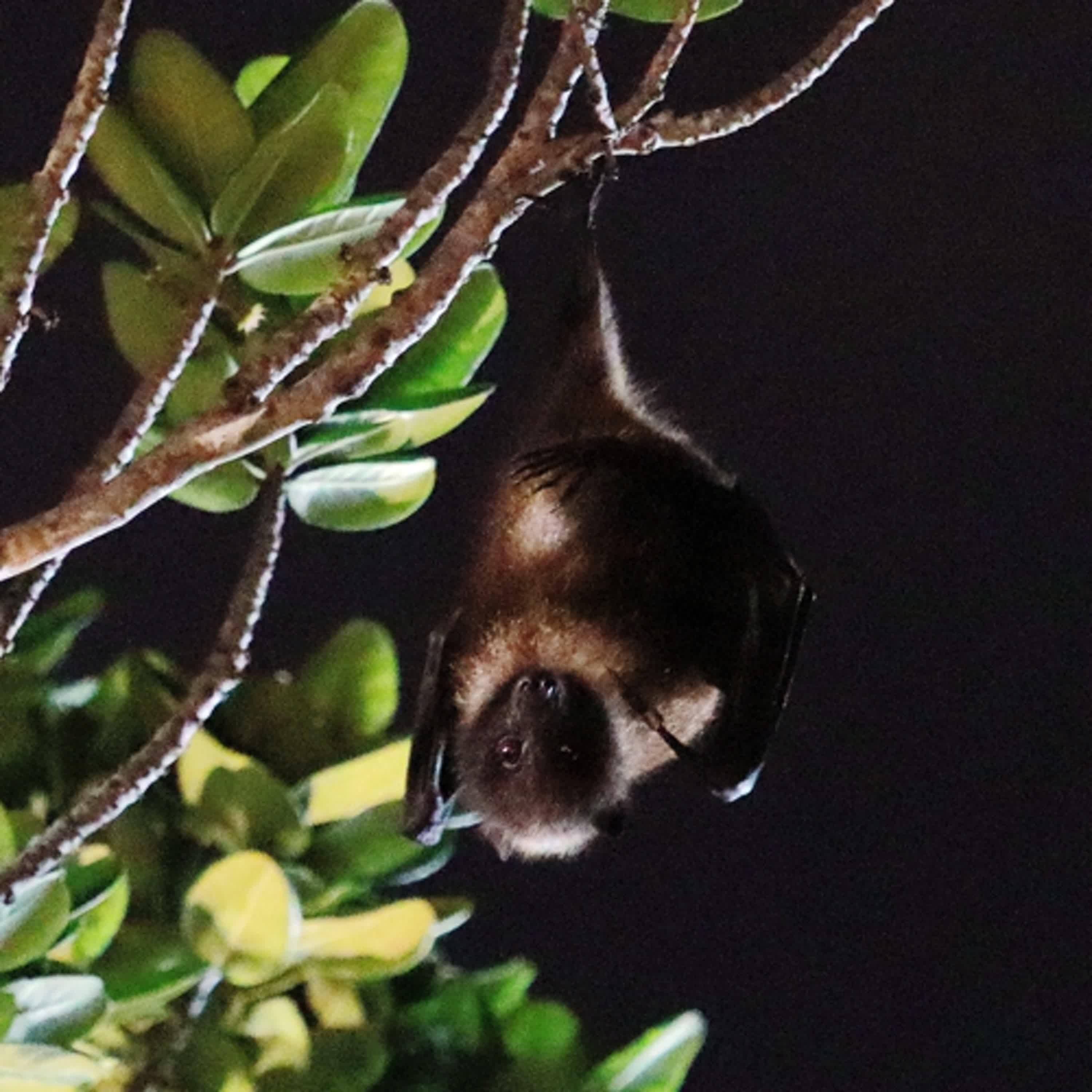 https://image.firstory-cdn.me/Image/clapg0lx300n601v72hrm4u5k/Kug_hddFQ1C2jtuwOvUA6.jpg
