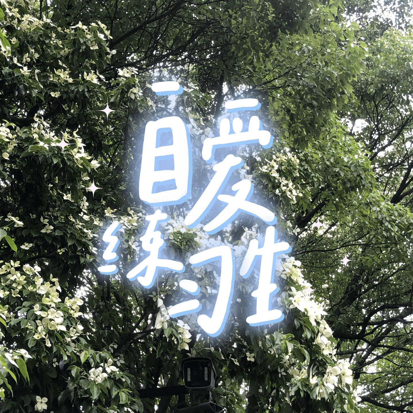 https://image.xyzcdn.net/lpXSM2HYhHalc9V8mHJi6LdSKKF8.png