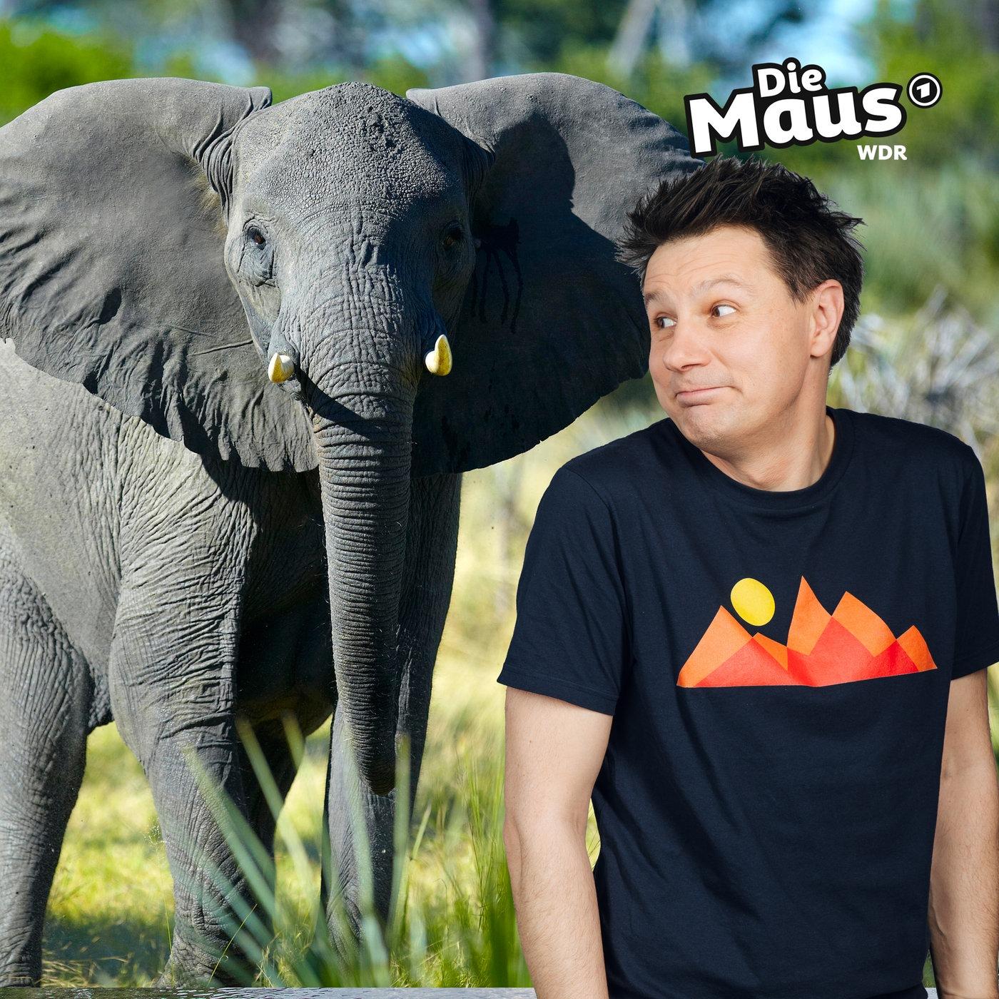 https://kinder.wdr.de/radio/diemaus/audio/diemaus-60/elefant-332~_v-Podcast.jpg