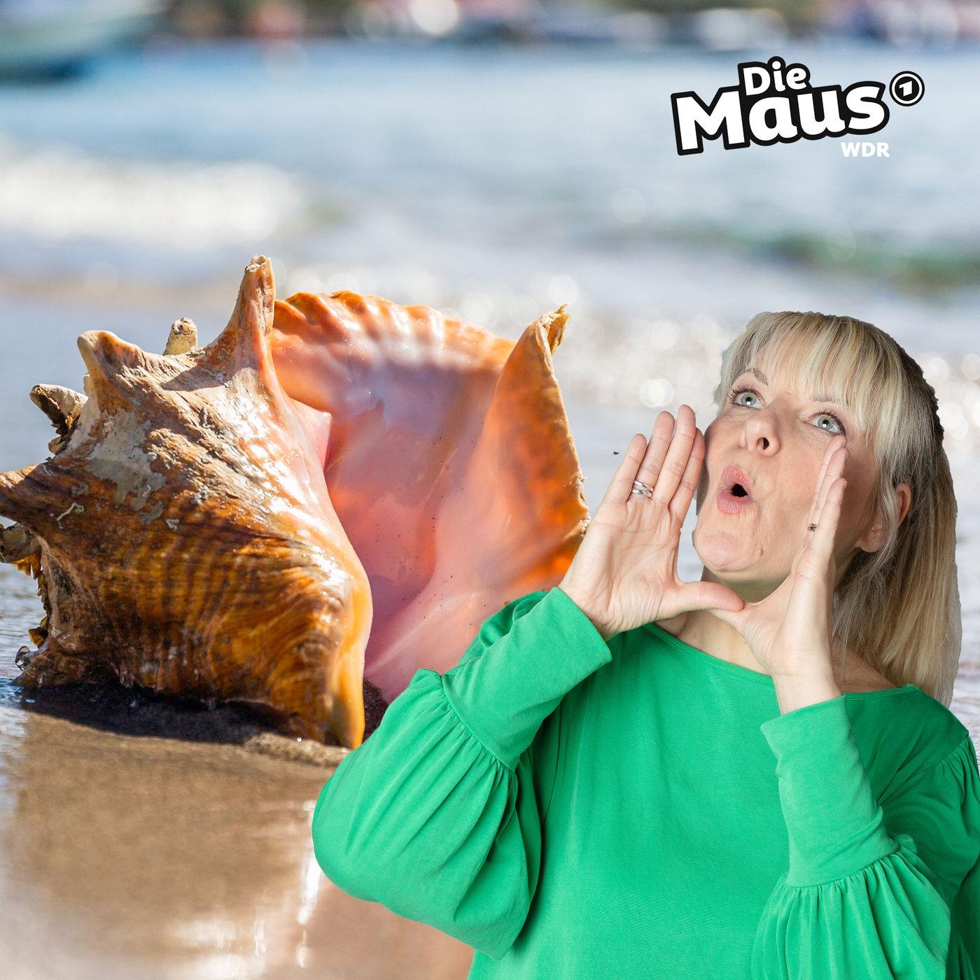https://kinder.wdr.de/radio/diemaus/audio/diemaus-60/rauschen-100~_v-Podcast.jpg