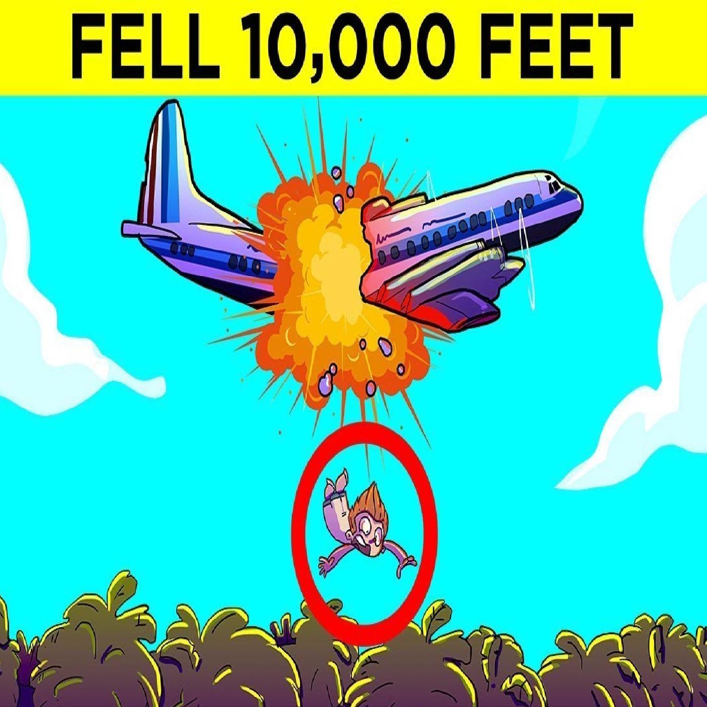 https://media.redcircle.com/images/2025/6/17/14/f7a23f56-9d89-4a1d-b4b4-c7e244d7f853_survived.jpg