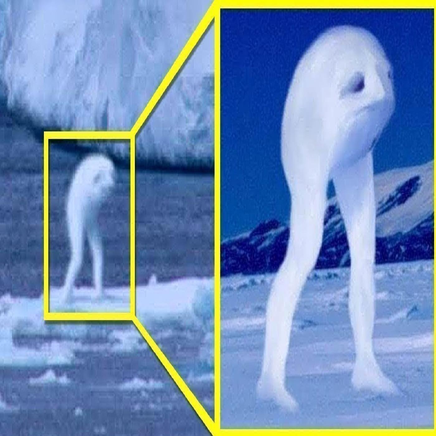 https://media.redcircle.com/images/2025/8/12/13/5fd32544-724b-4970-94b5-bf3b53862236_mysteries.jpg