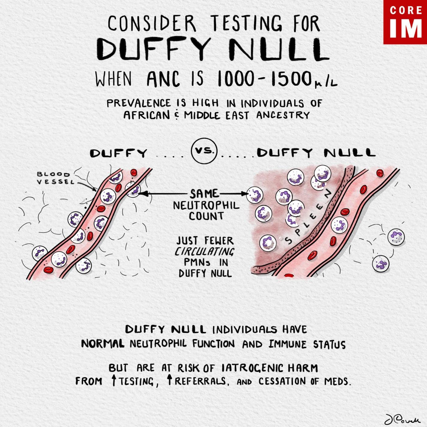 https://media.redcircle.com/images/2025/8/12/19/69771083-76c5-49f9-896f-440f9d956192_neutroenia.jpg