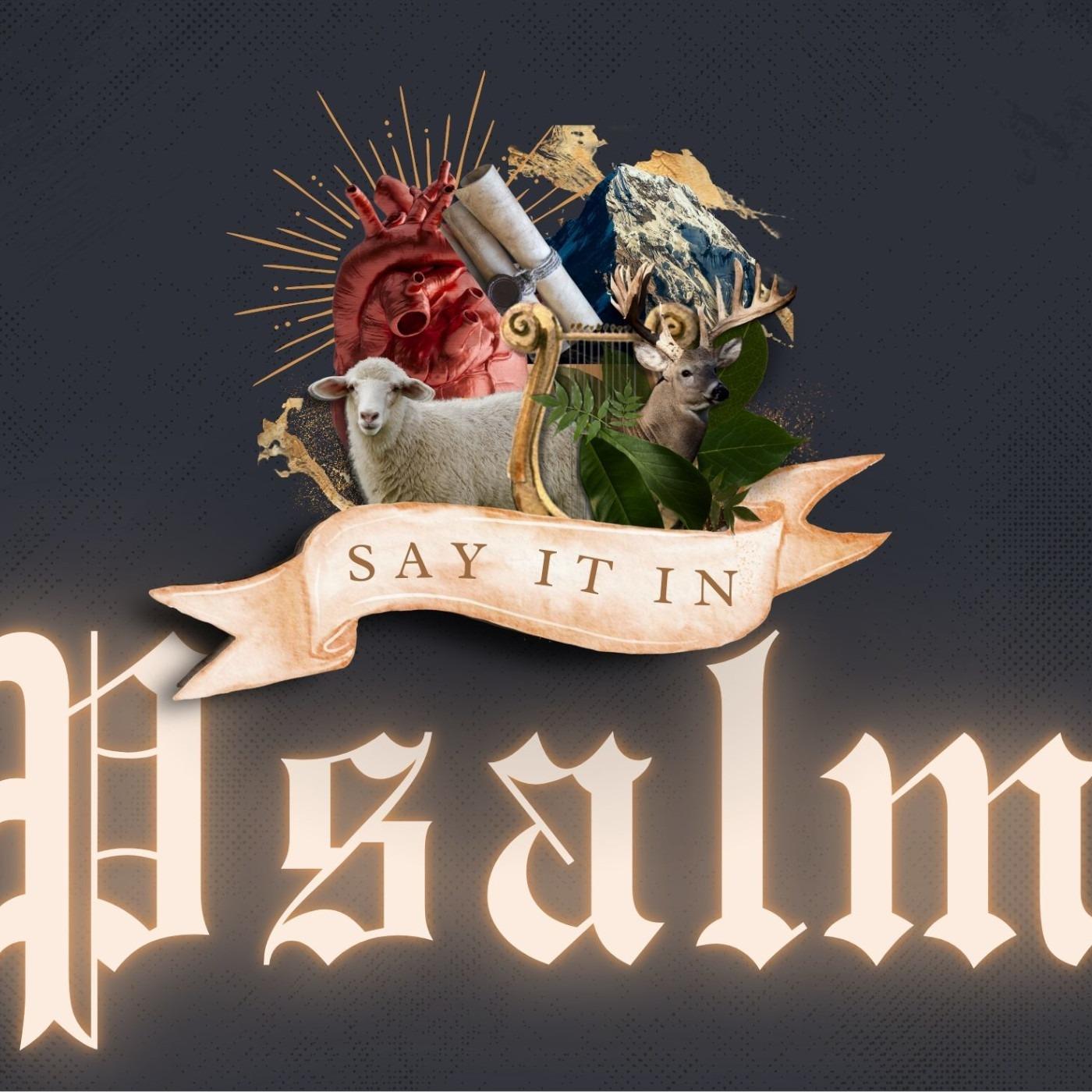 https://media.redcircle.com/images/2025/9/28/19/1df1db63-2792-49a4-bdc1-8c96ced0b08f_ps1400.jpg