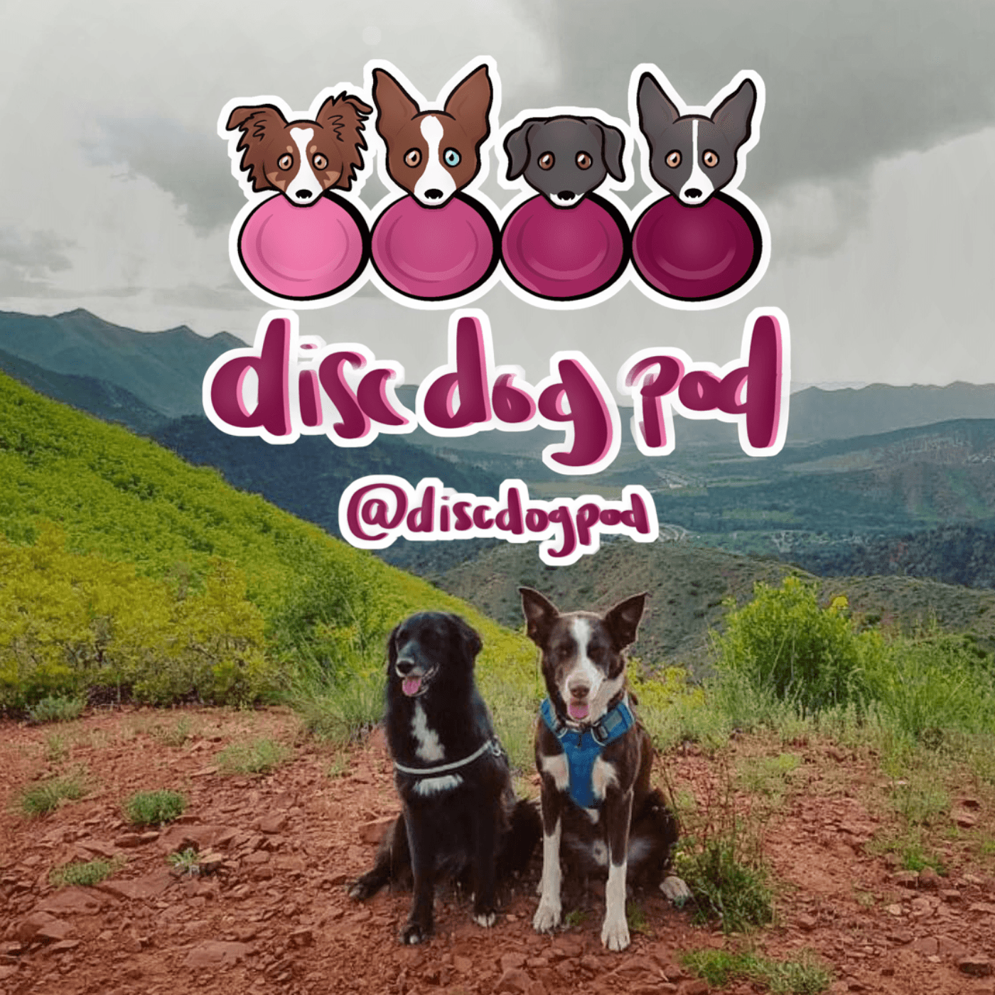 https://media.rss.com/disc-dog-pod/ep_cover_20250819_050846_d25fa71c3e76852132d959a00dc9d0a0.png
