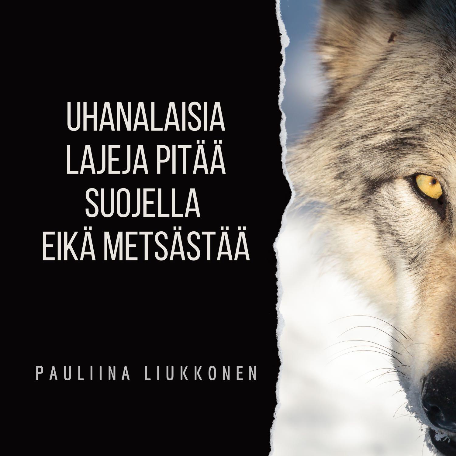 https://media.rss.com/ikuisestipoissa/20210217_170420_d0eaa7b6da411fd2d805124394901604.jpg