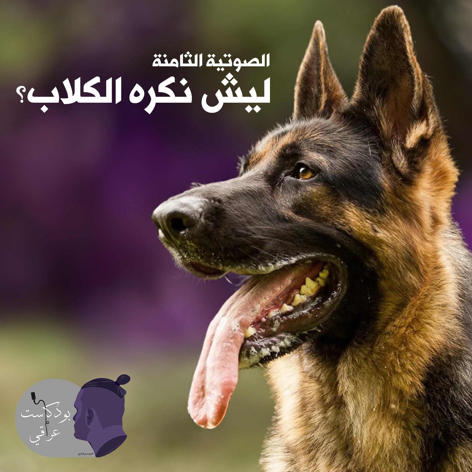 https://media.rss.com/iraqipodcast/ep_cover_20250908_100902_a9347f74c821516e5615da8cb6ccbd42.jpg